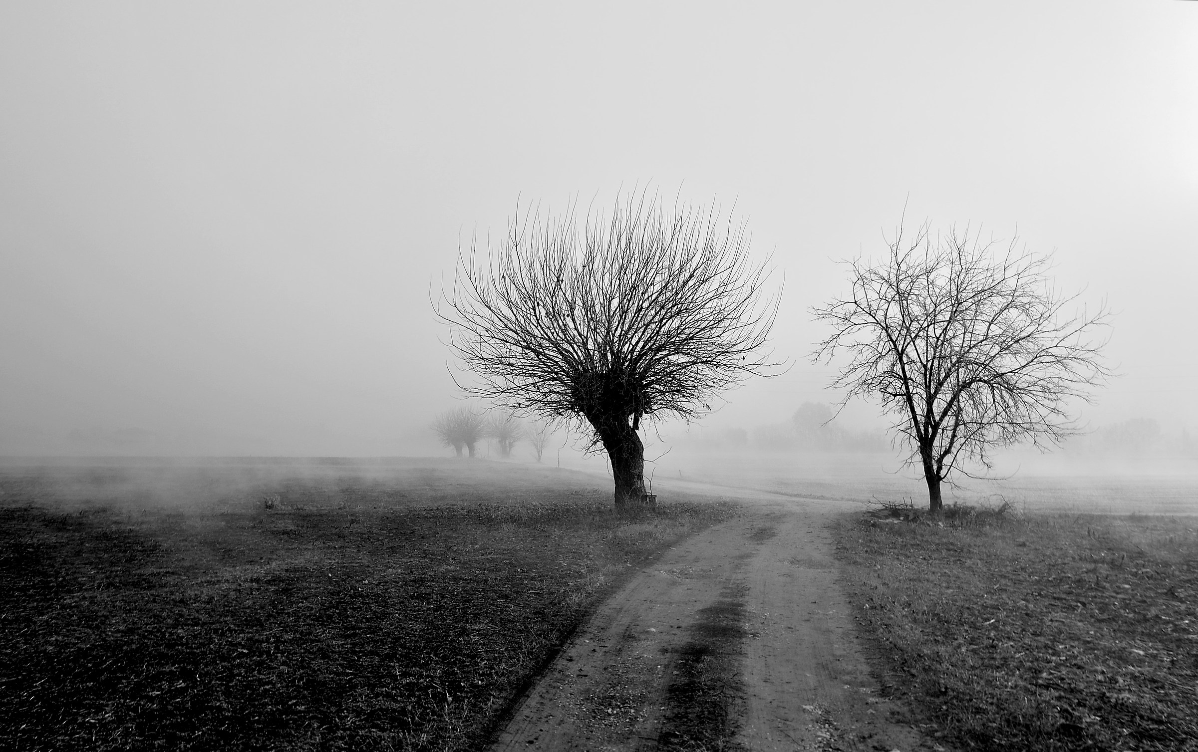 Towards the New Year...