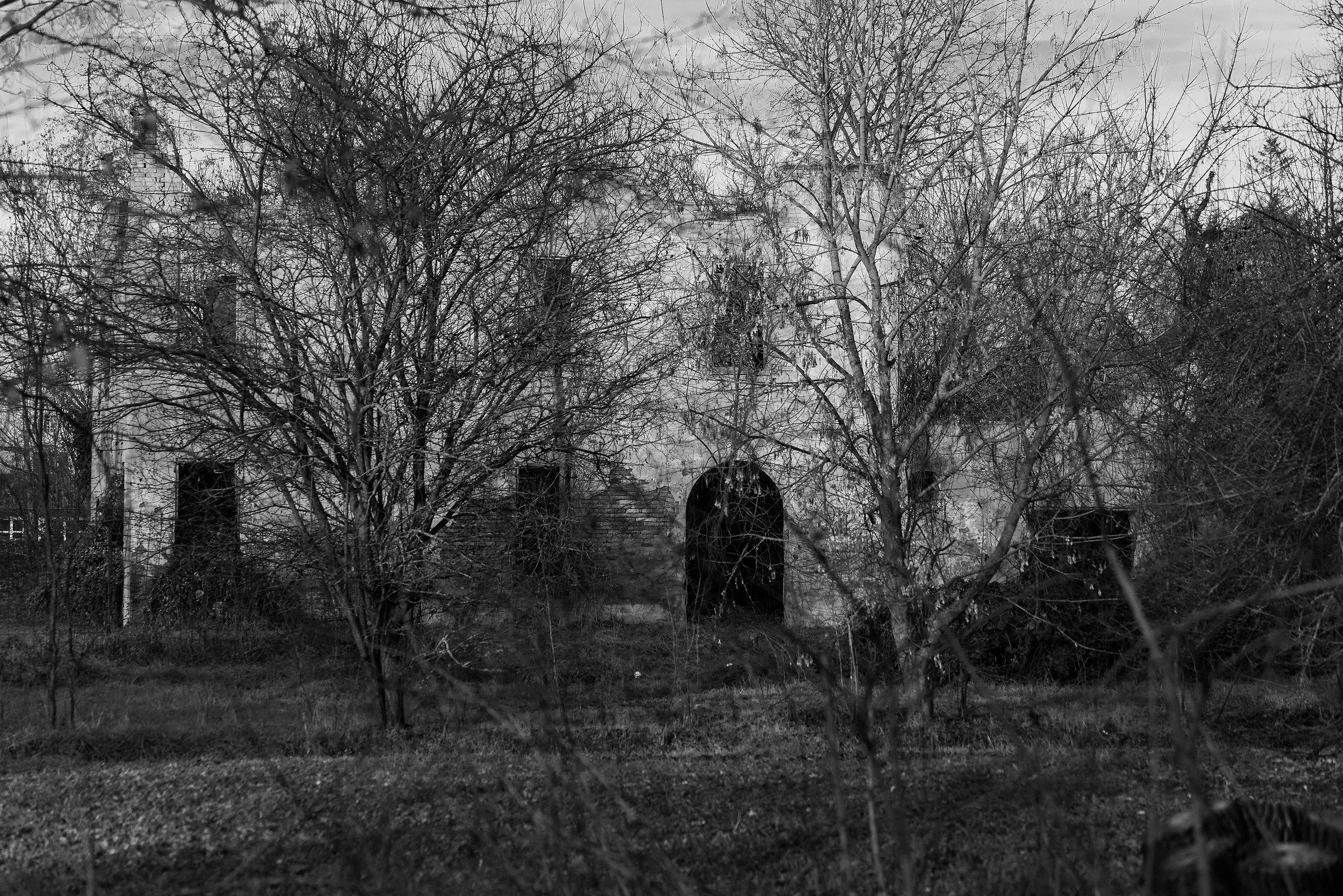 The Haunted house in the woods