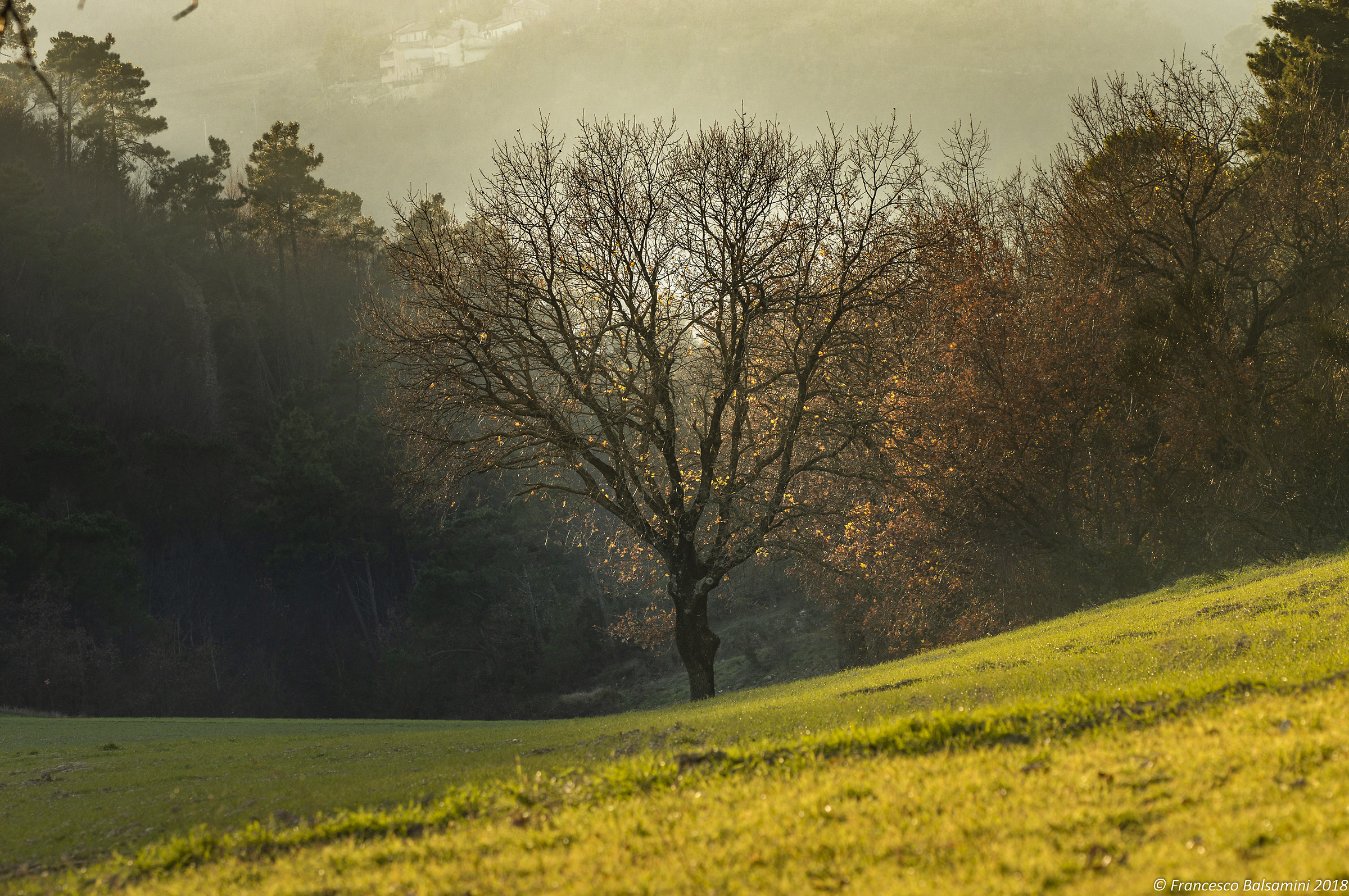 in un pomeriggio di dicembre