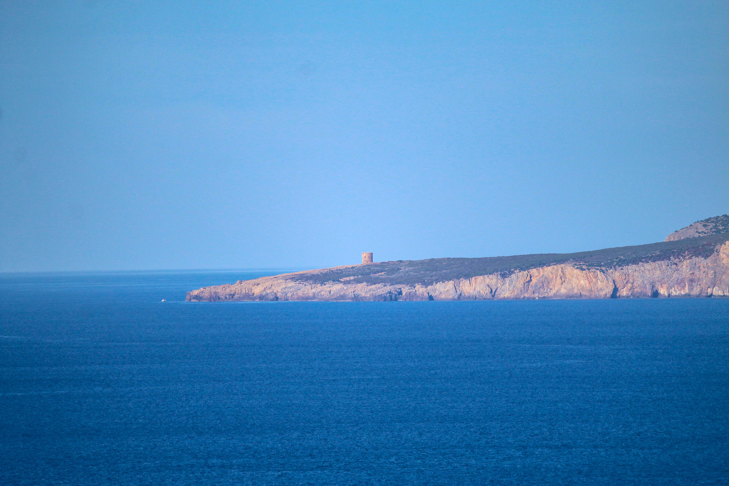 Torre cala domestica