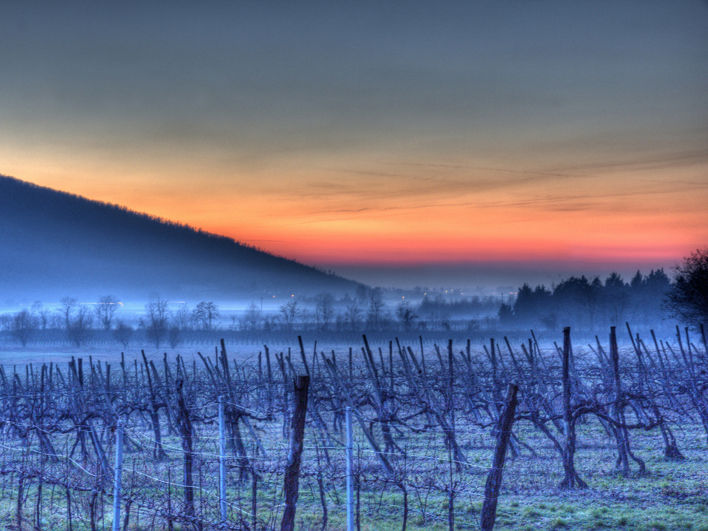 The fog at the Sweet Hills rises