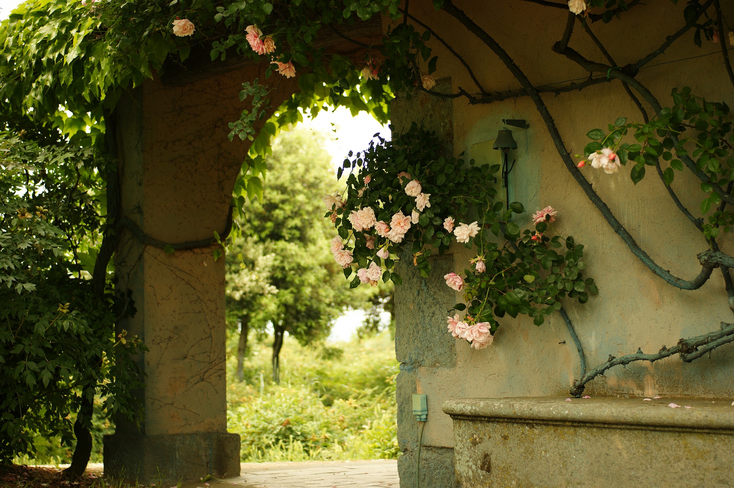 centro botanico moutan