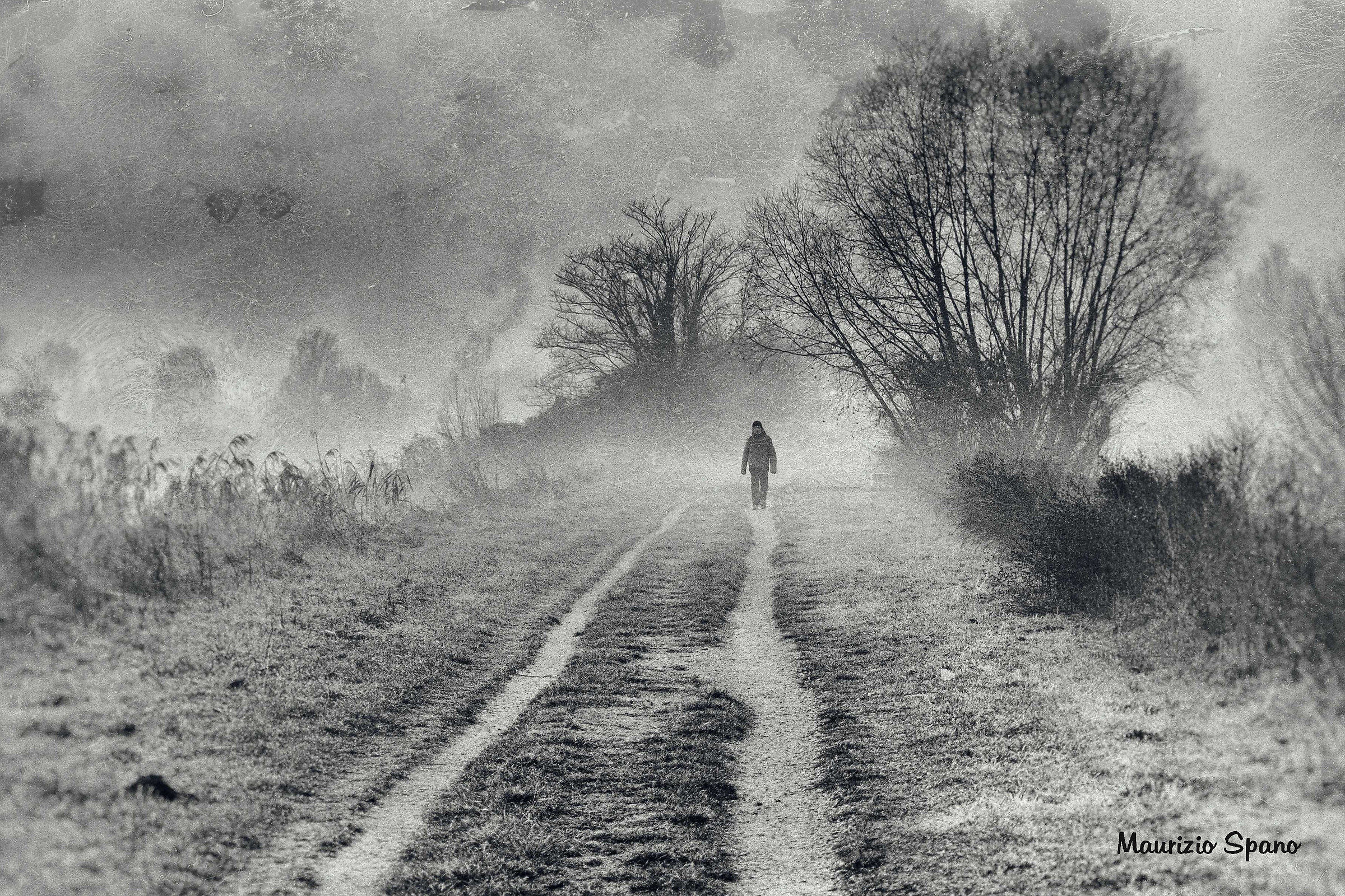 Evanescente apparire...