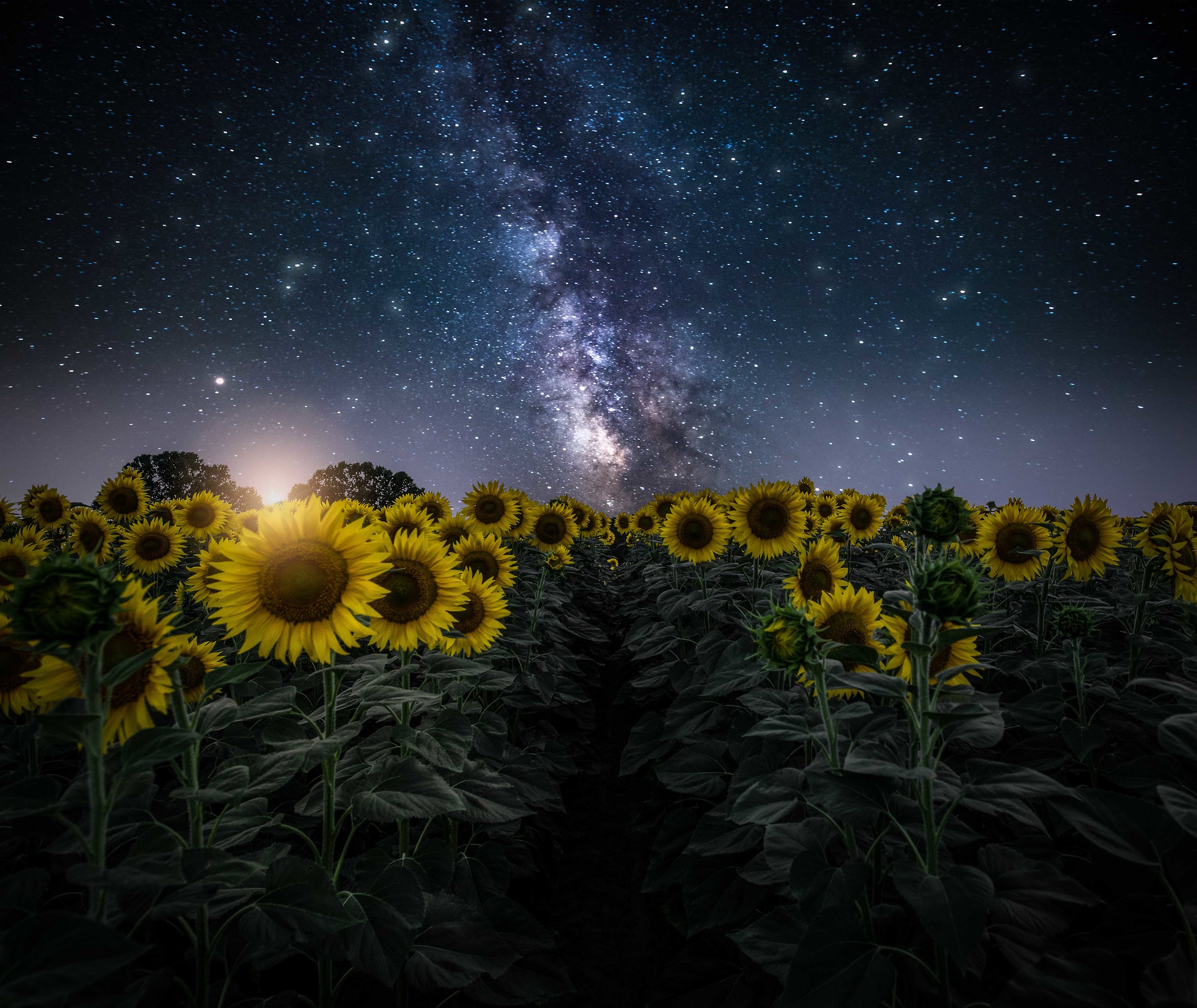 Dream of A Midsummer Night