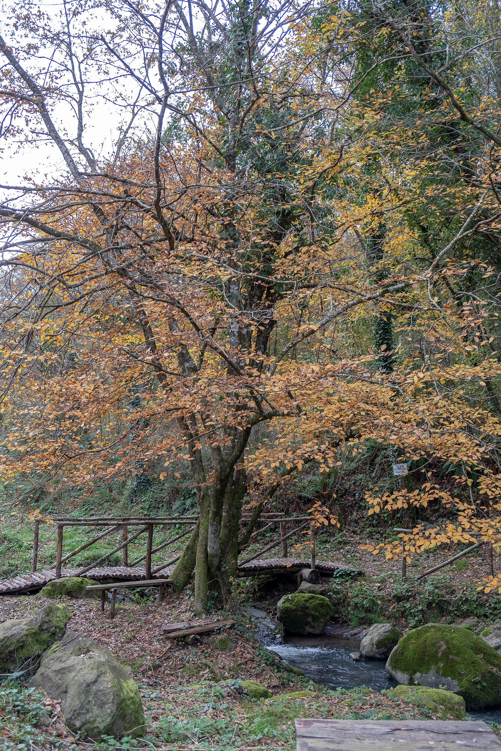 Alle cascate di Lieti