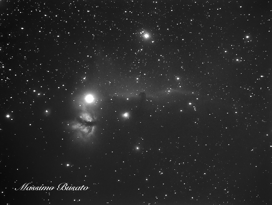 testa di cavallo e fiamma