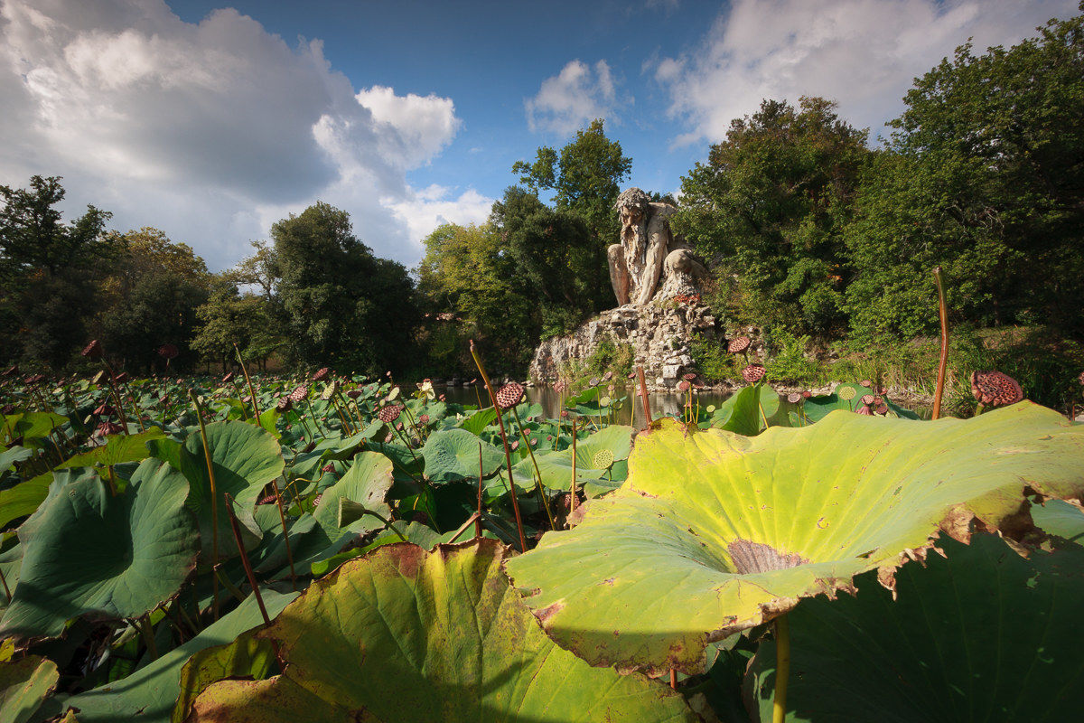 Il Colosso dell'Appennino ...