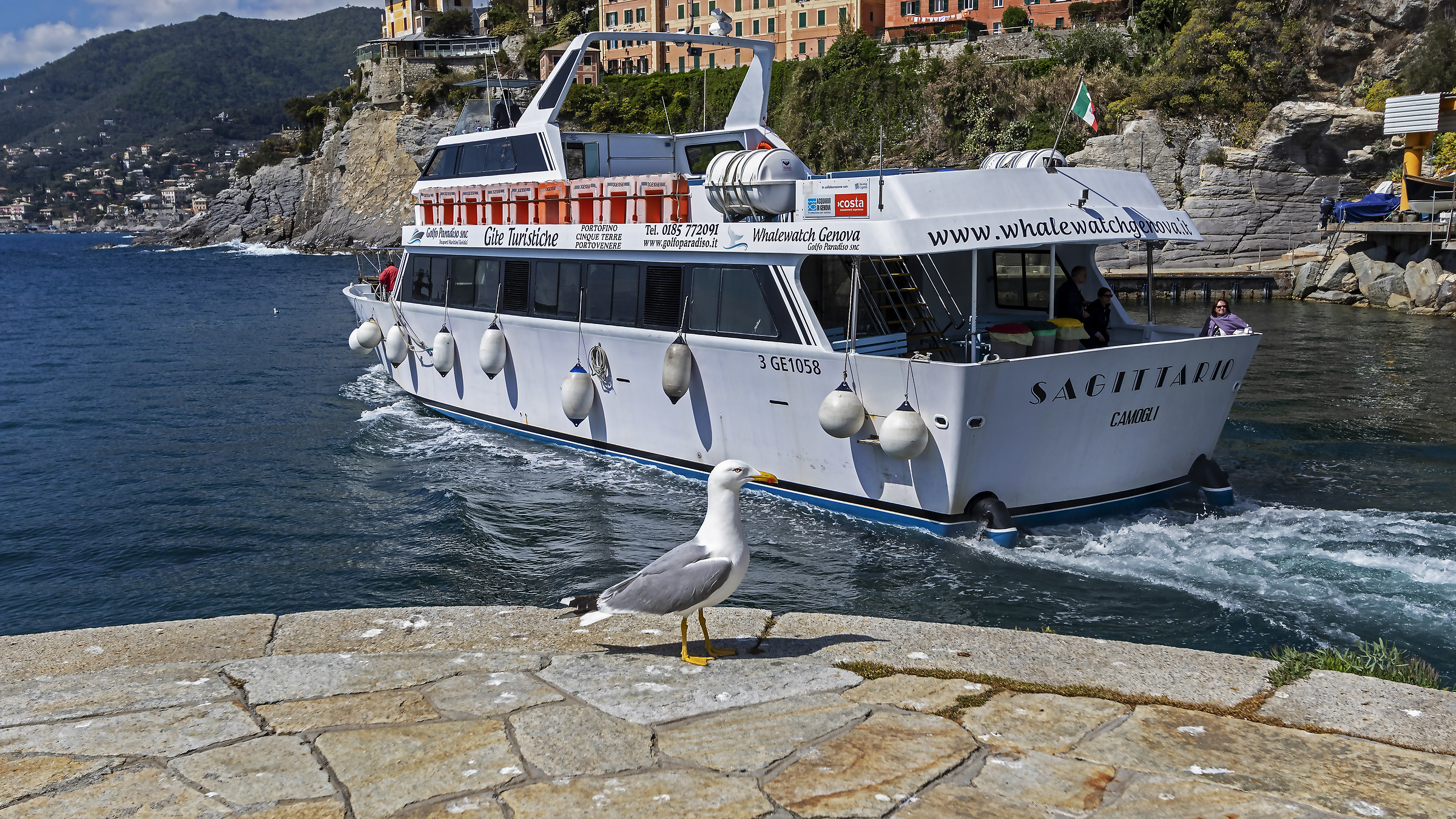 Vengo anch'io. No, tu no