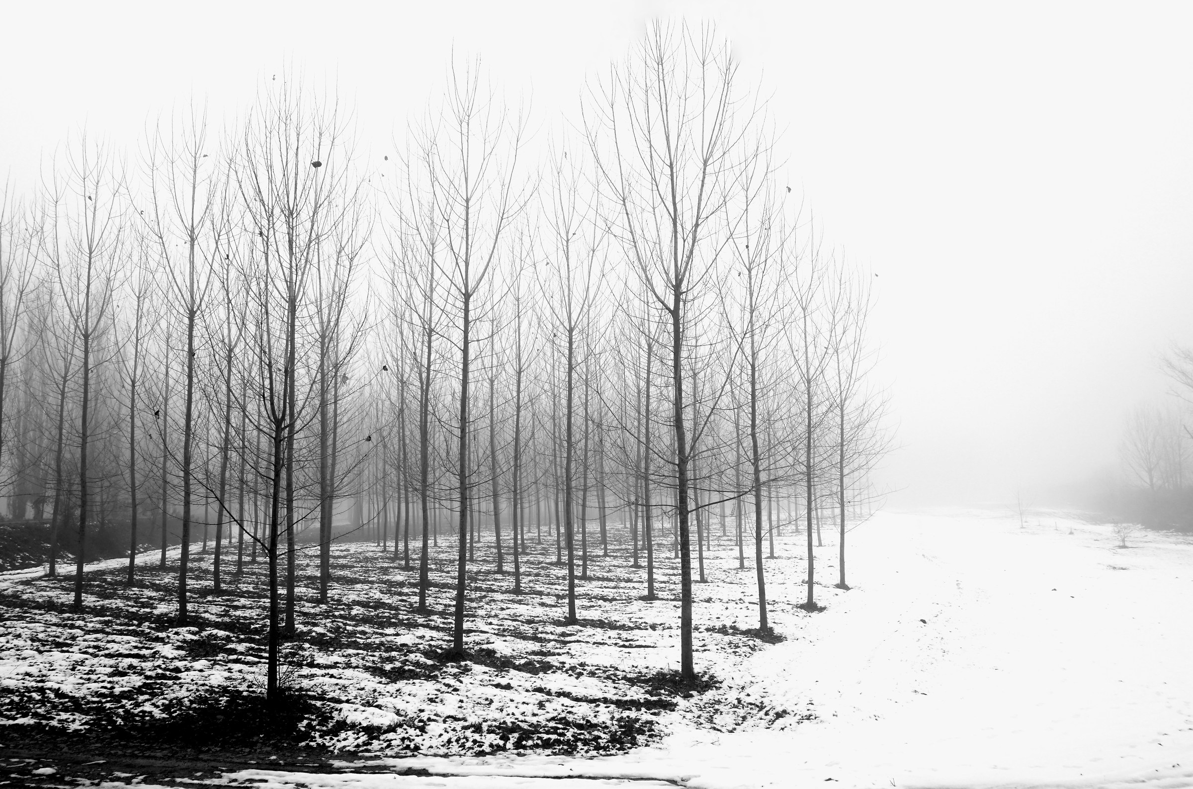 I soldati del Generale Inverno