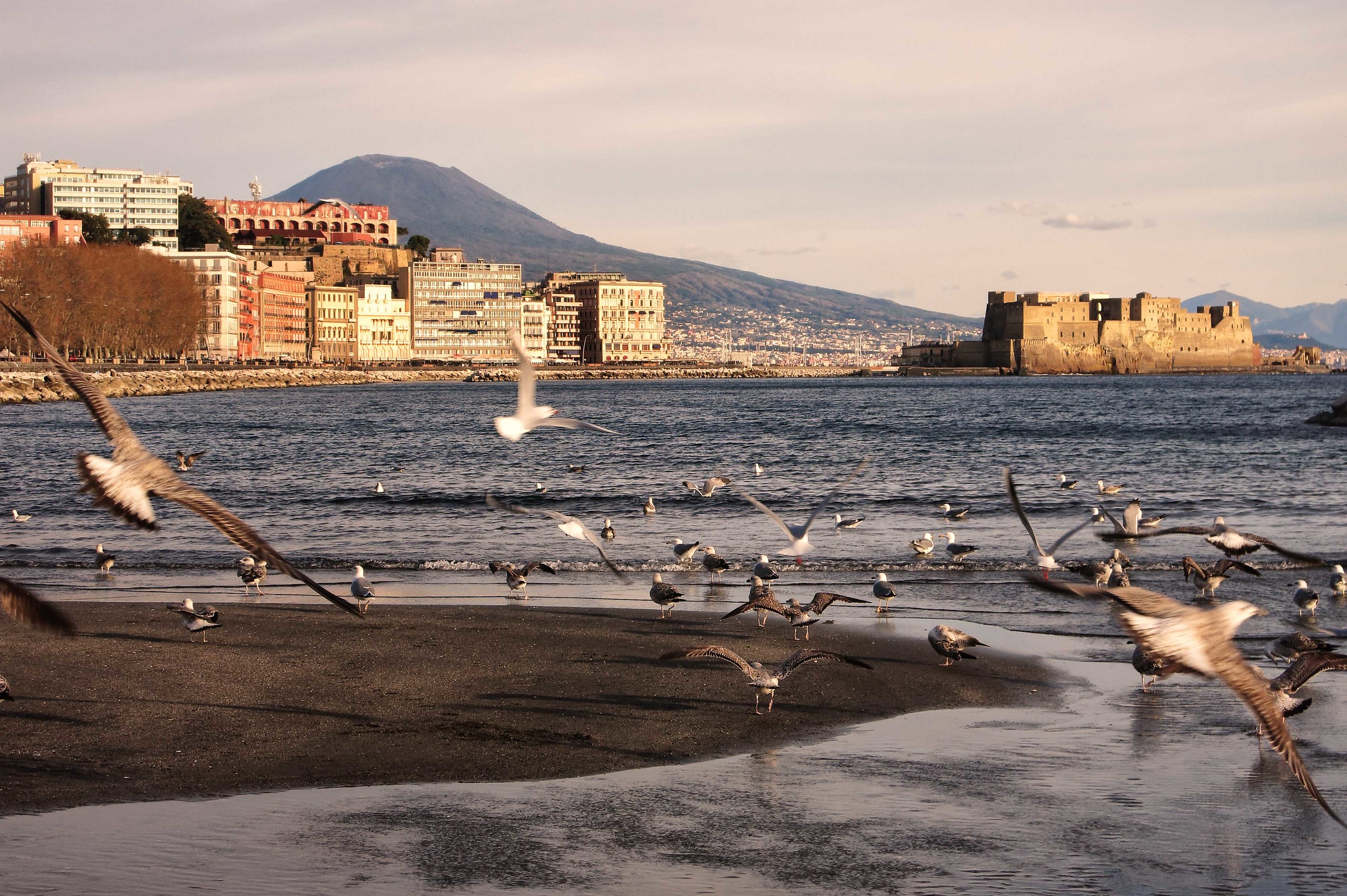 Naples