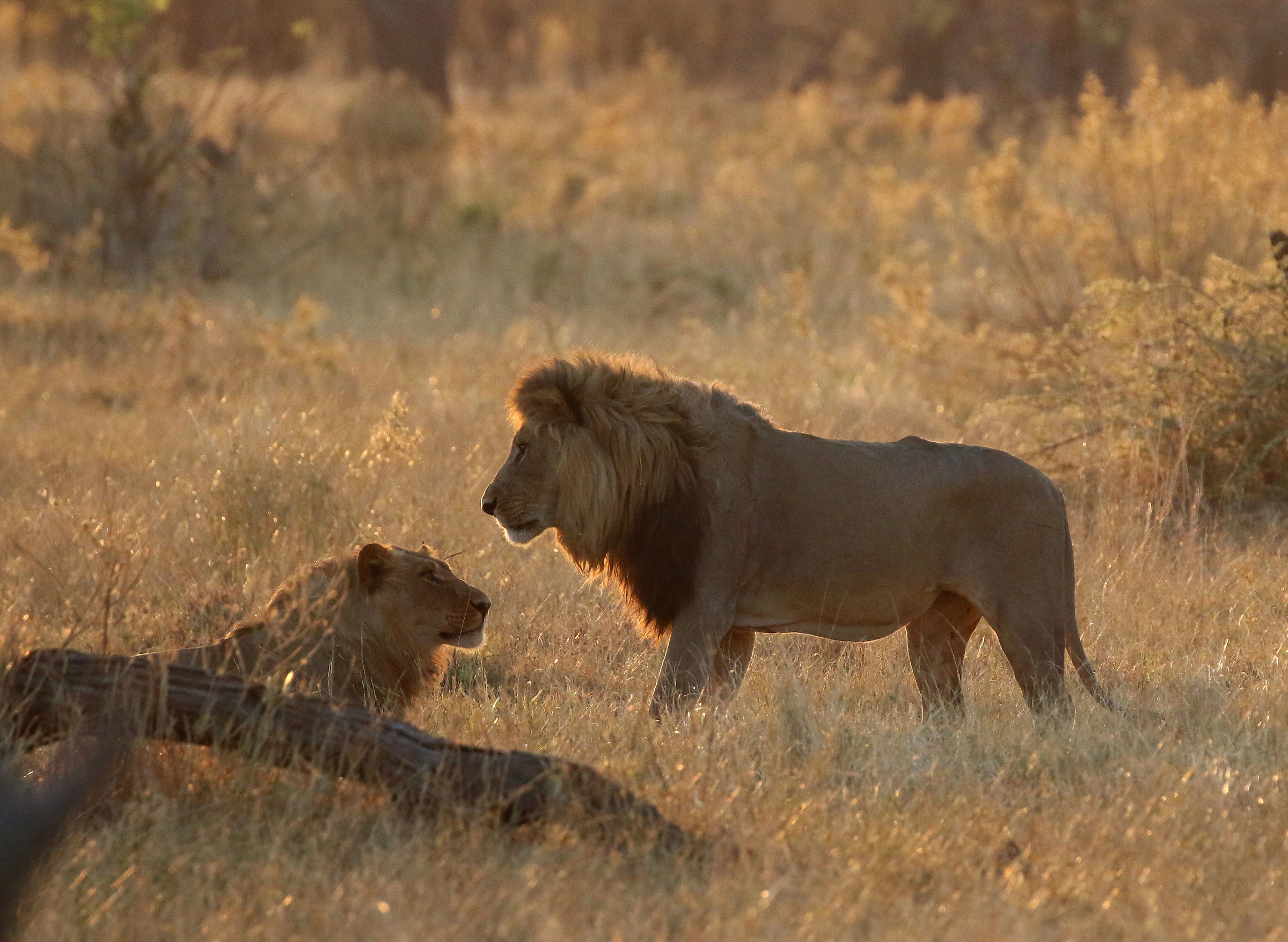 Till death do us part