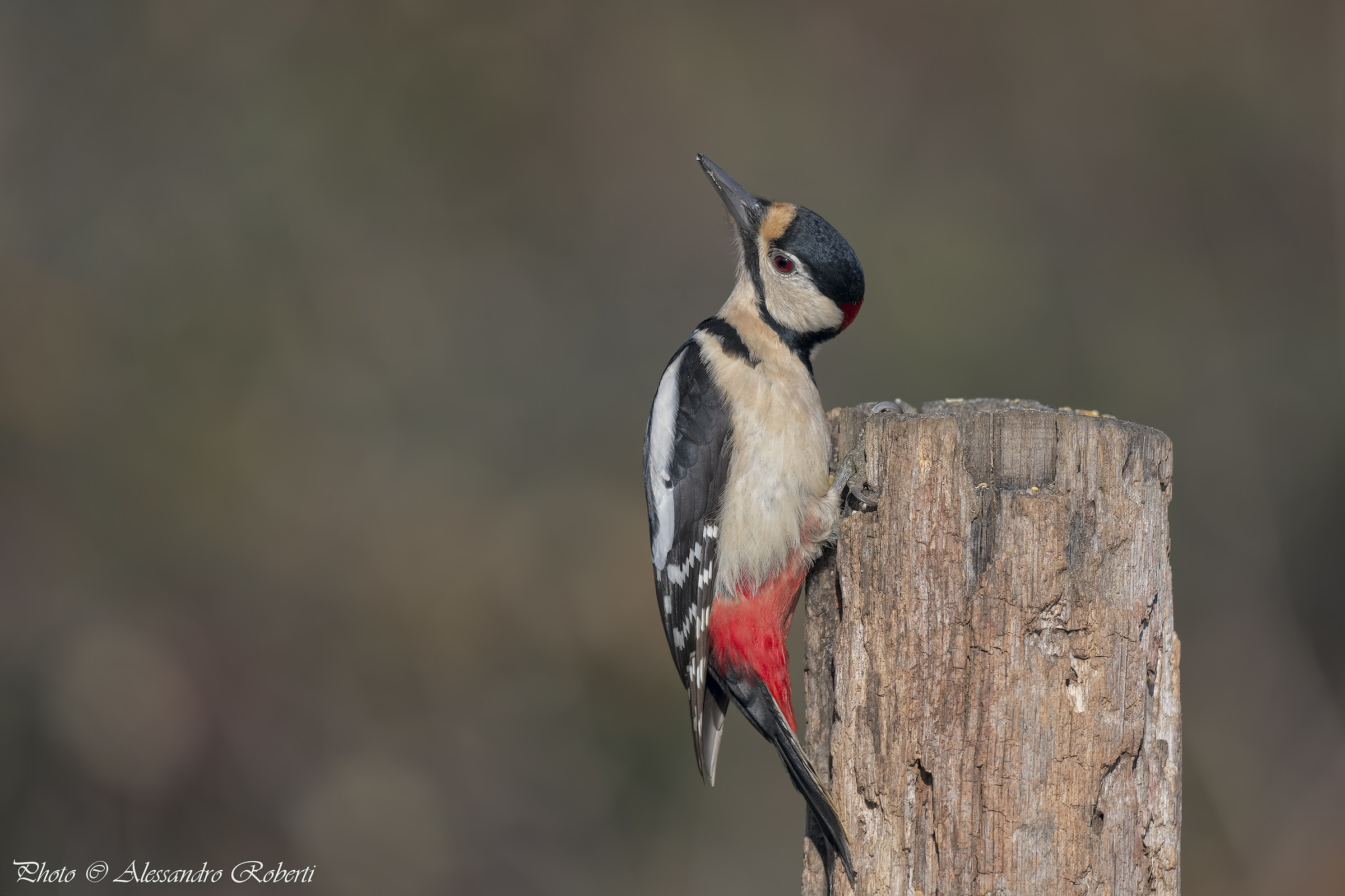 Today I keep the stiff neck