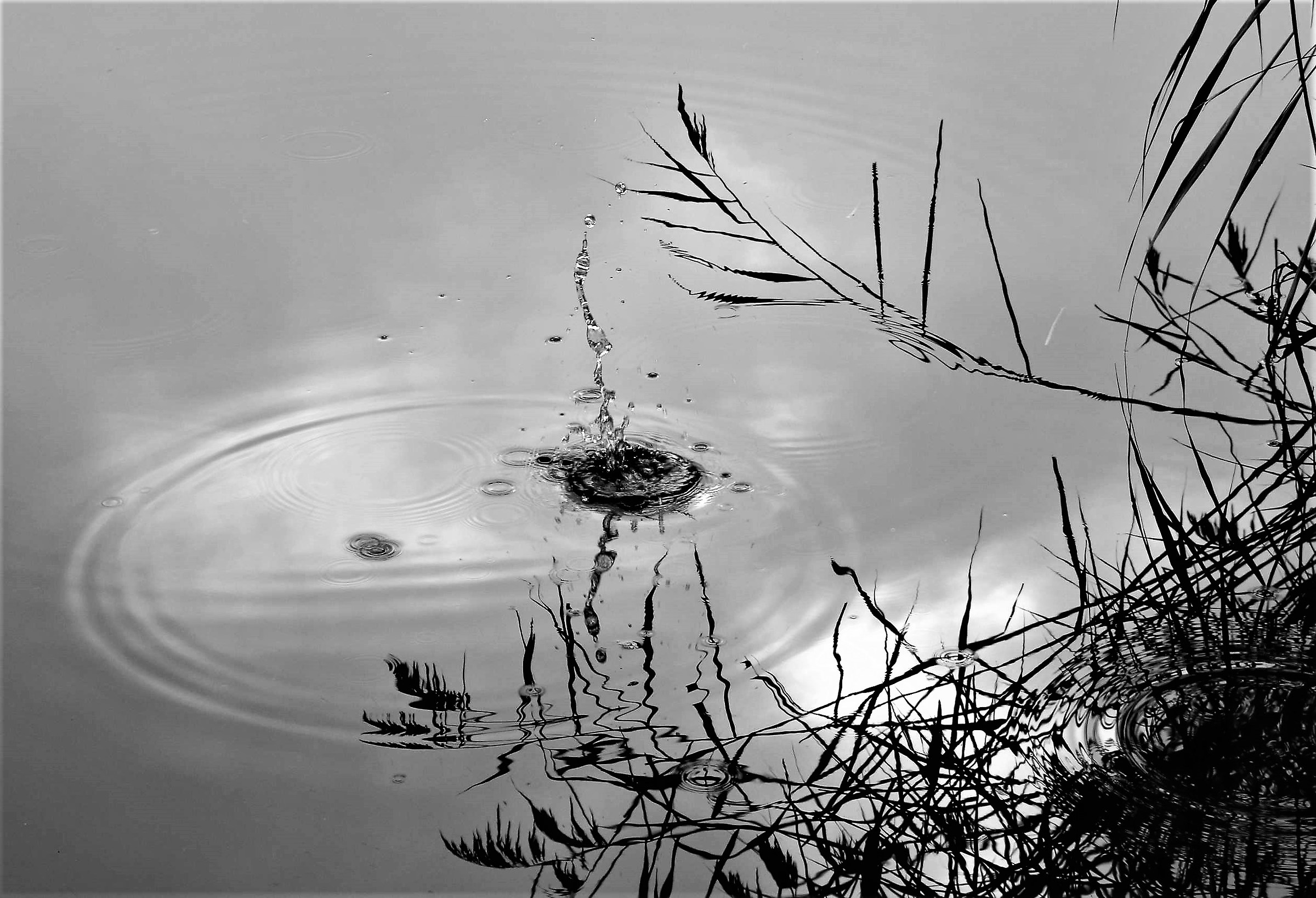 A little "autumn in South Tyrol-4-