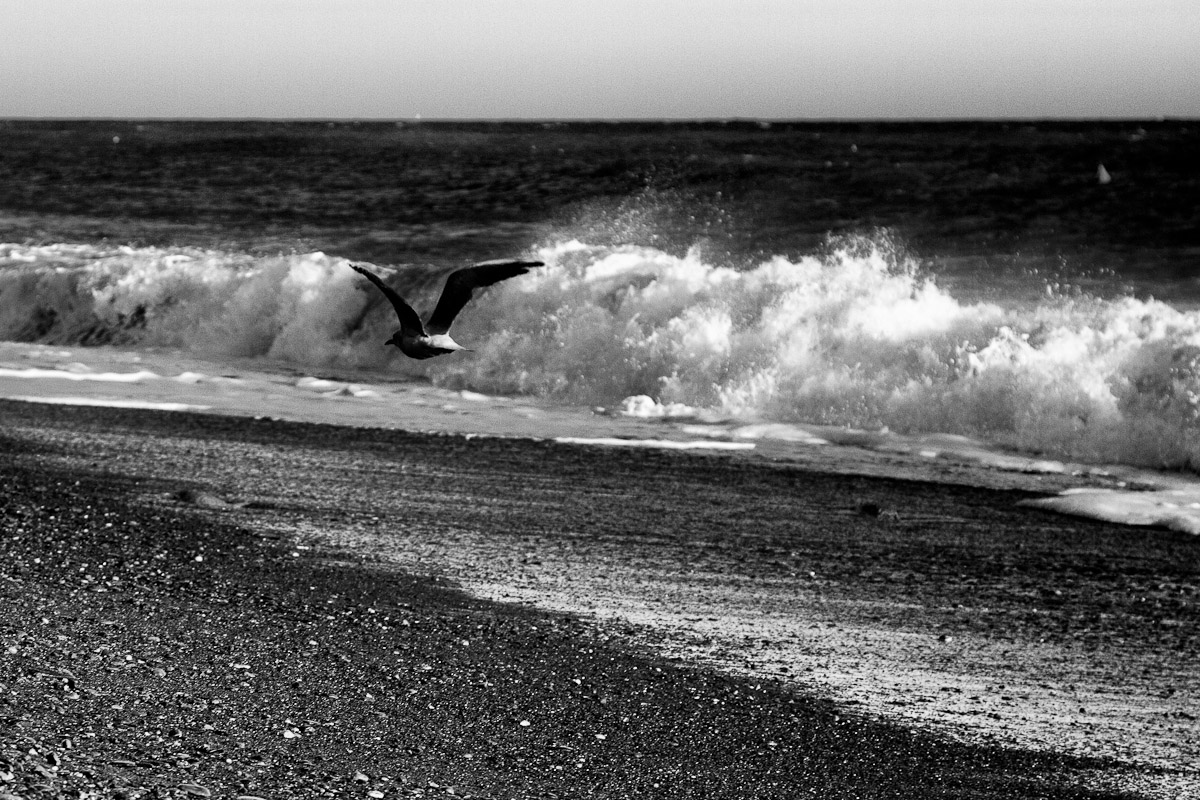 Flying over the waves