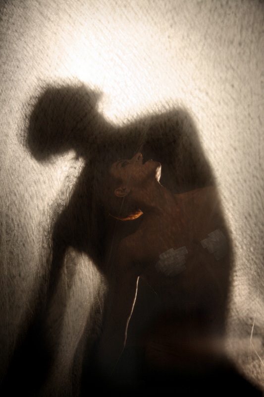 Fotografica 2012 #17