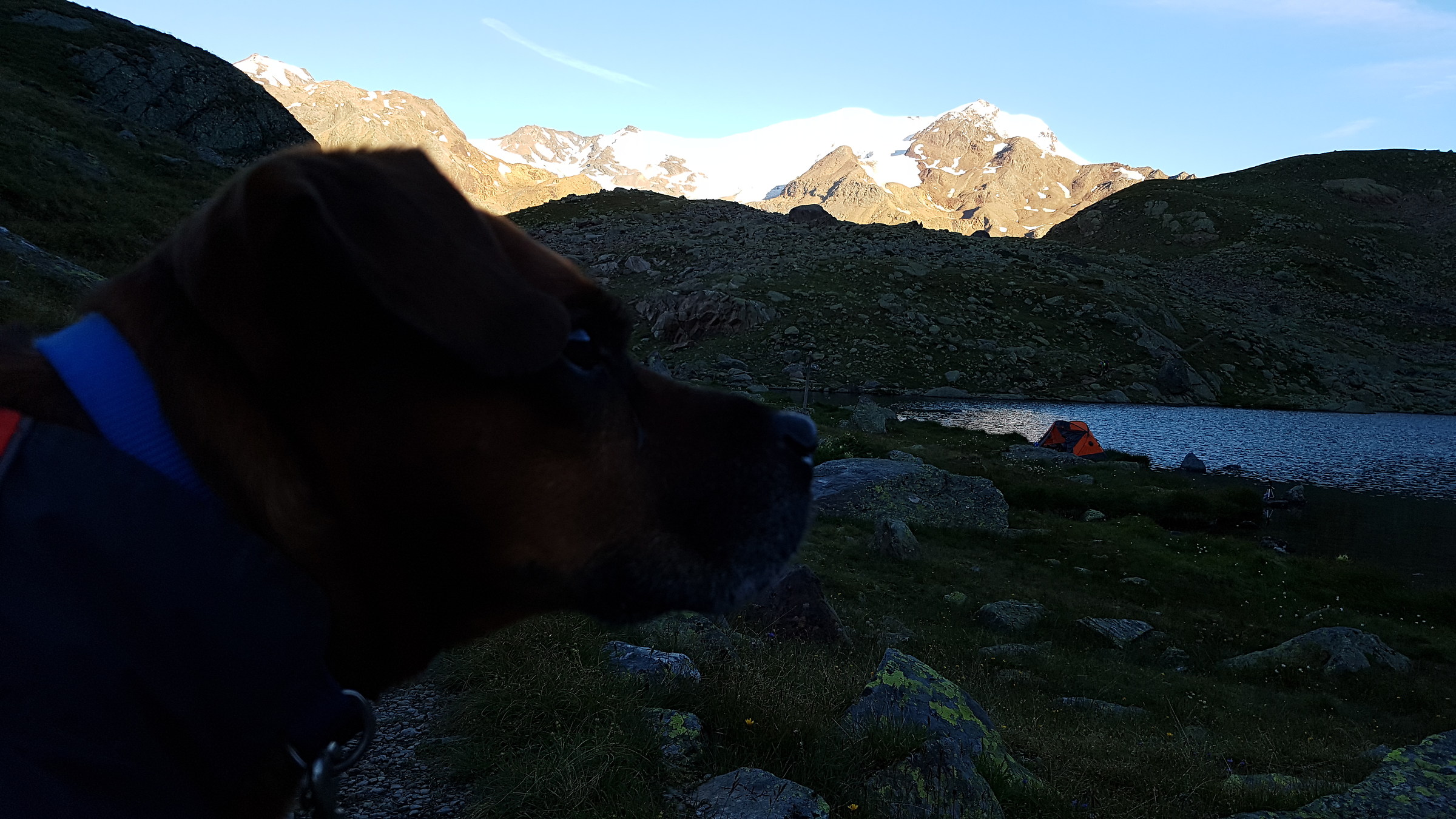 Lago Lungo  Val di Peio 2016