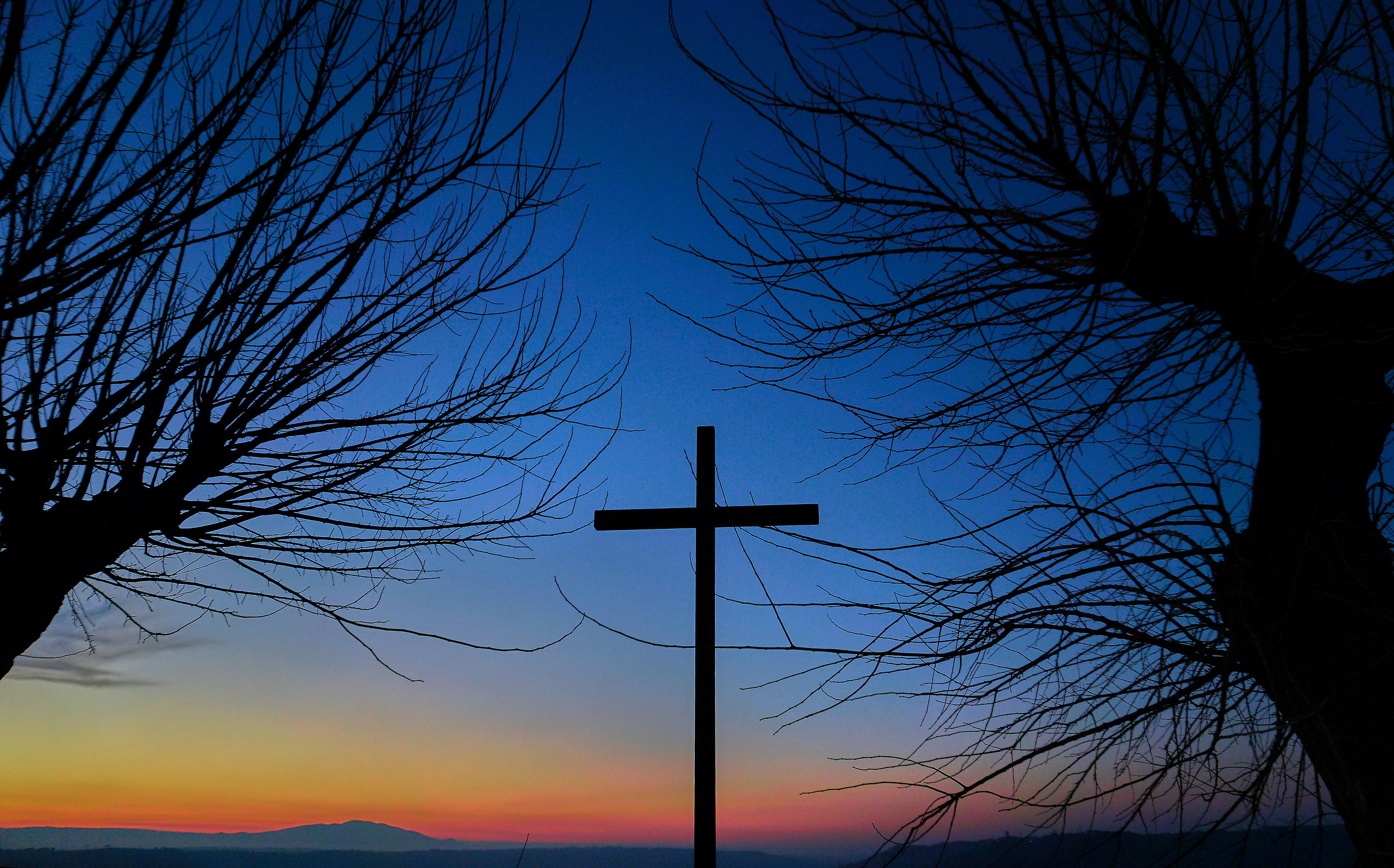 Between the 2 mullies