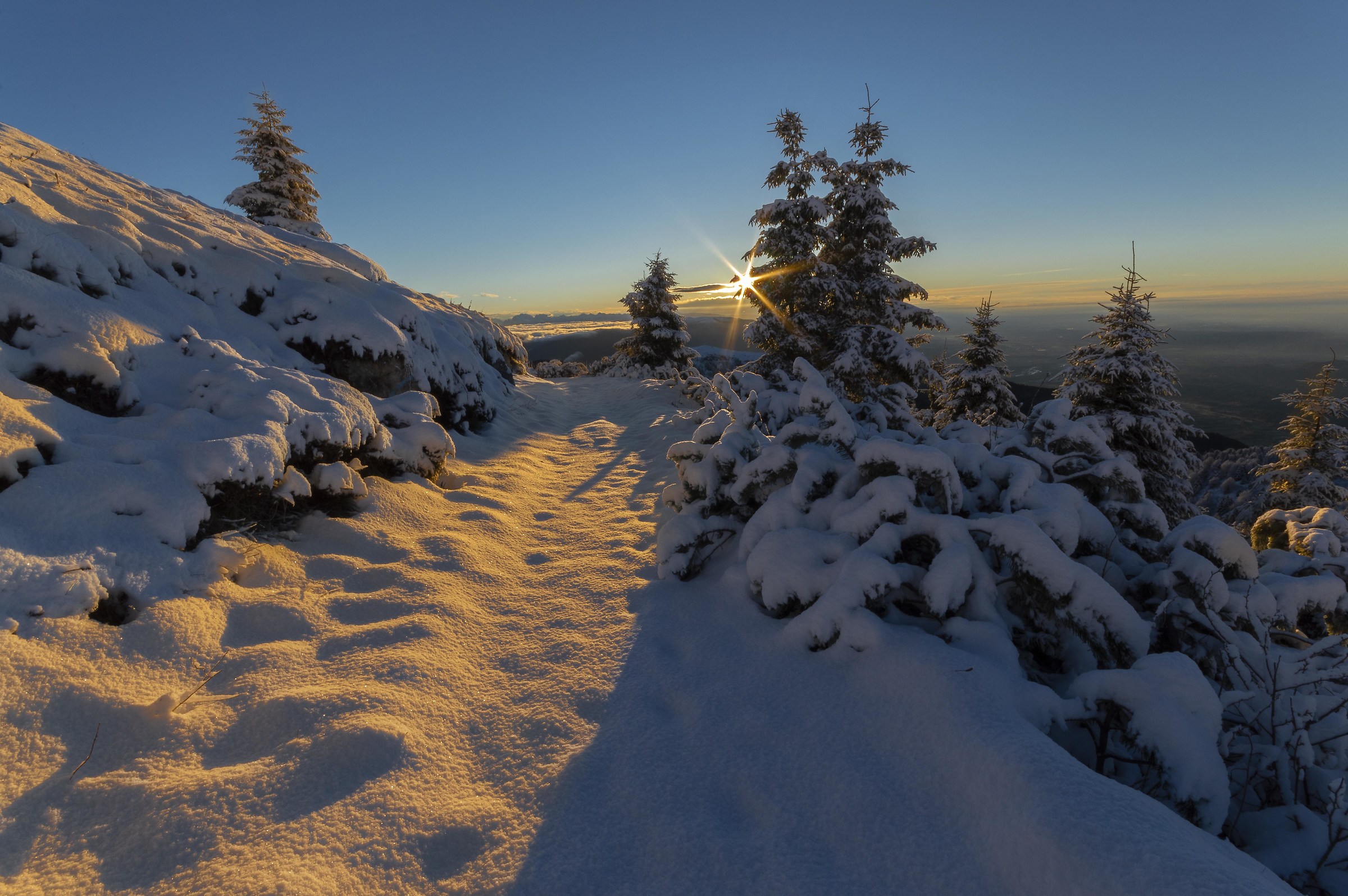 Cercando Babbo Natale con i miei regali