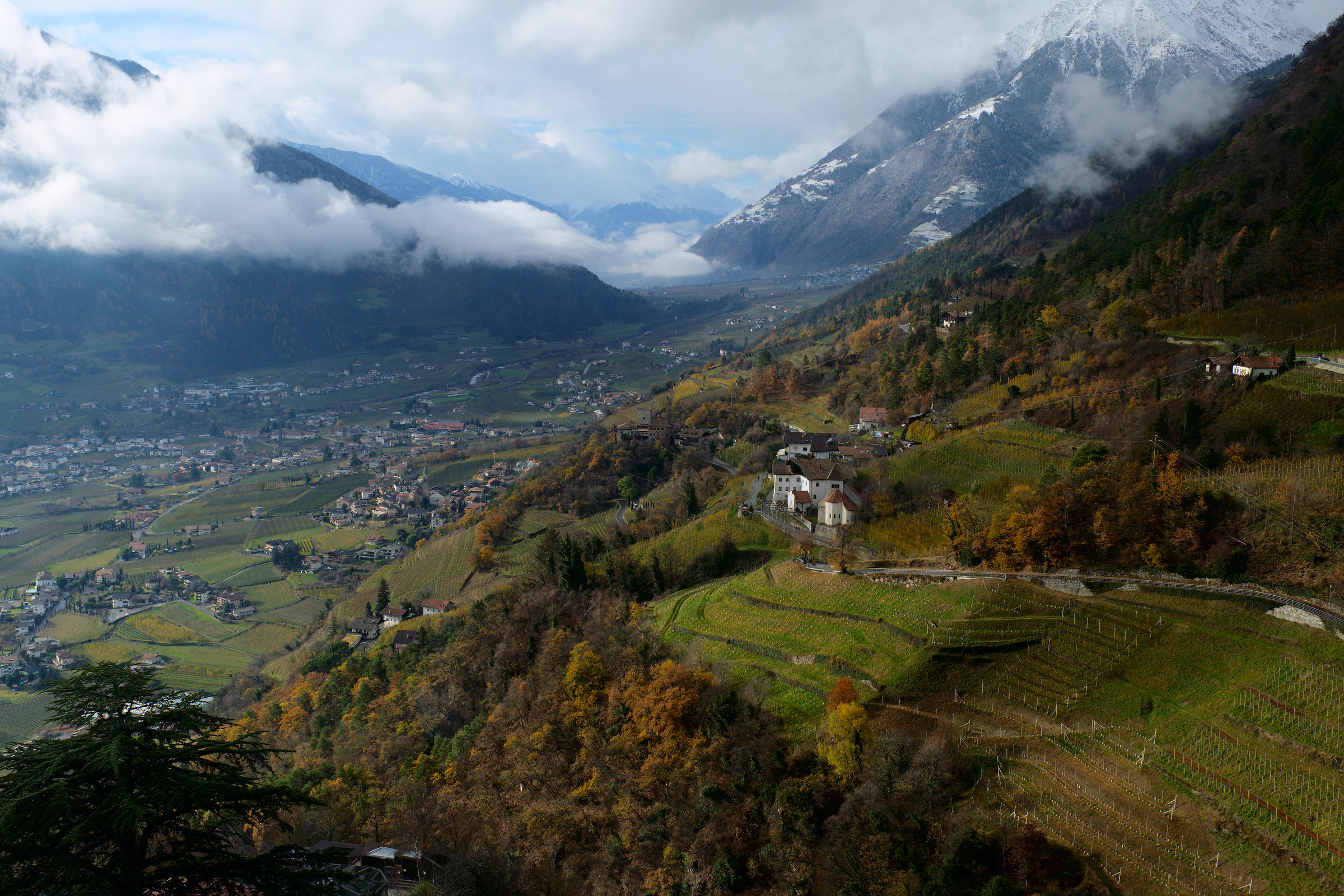 Panorama da Castel Tirolo