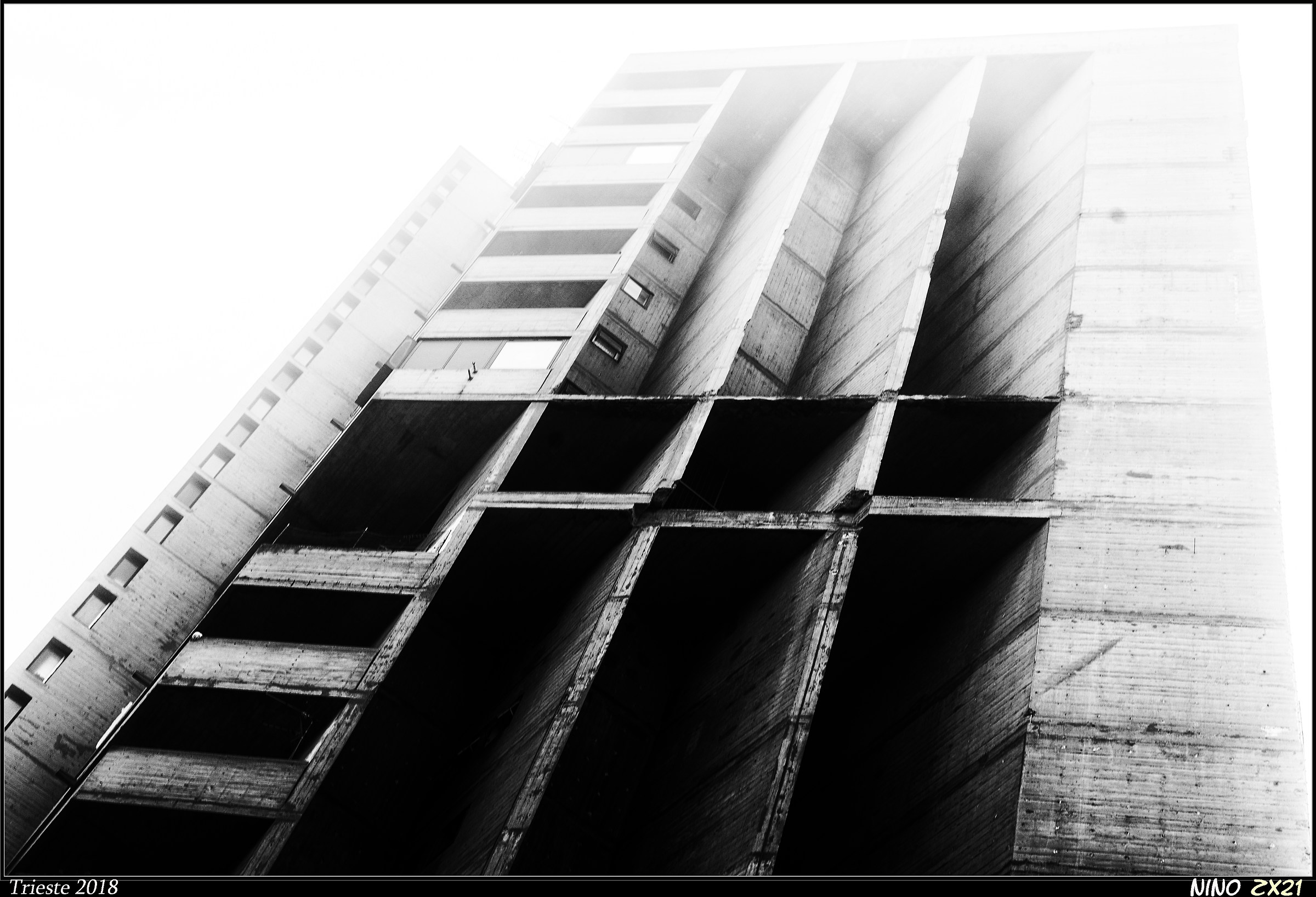 A glimpse into the fog