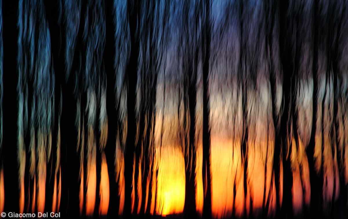 Sunset expressionist