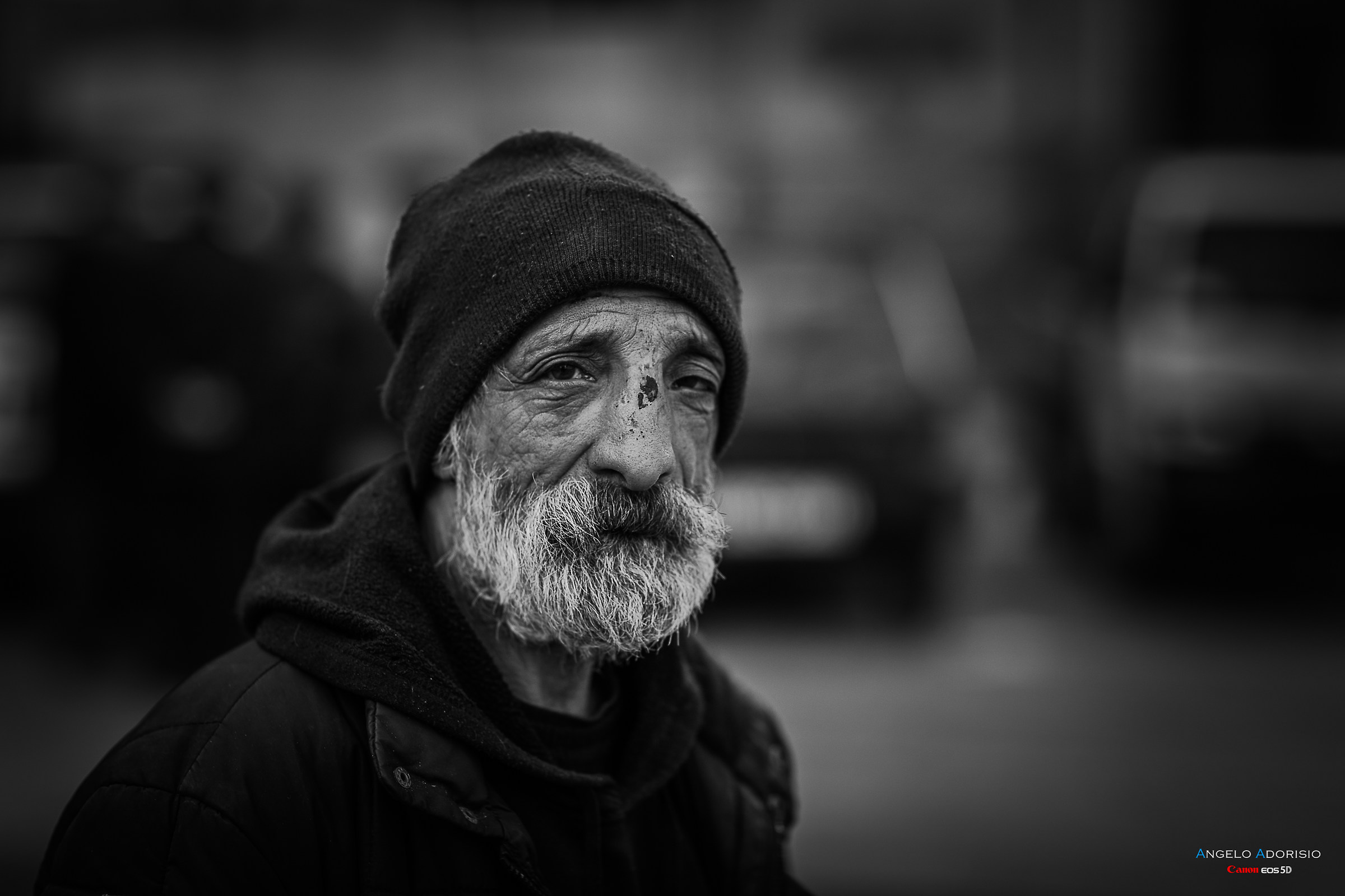 Longobucco-The last of the shepherds