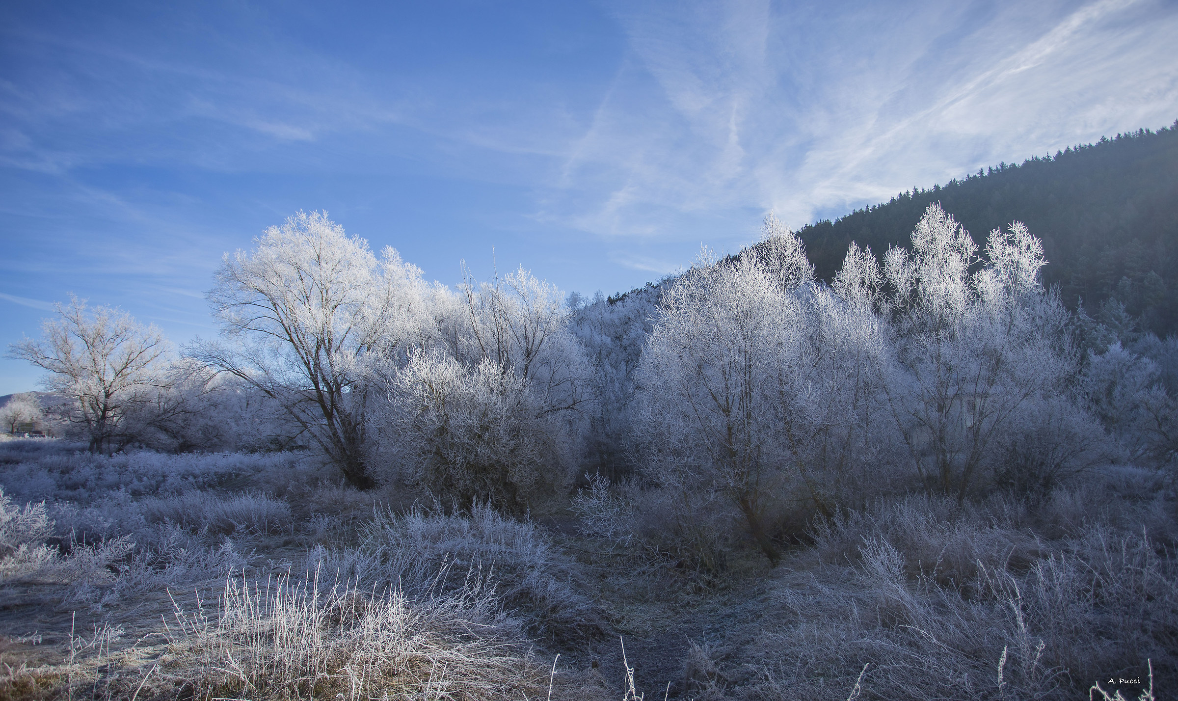 Colfiorito di ghiaccio
