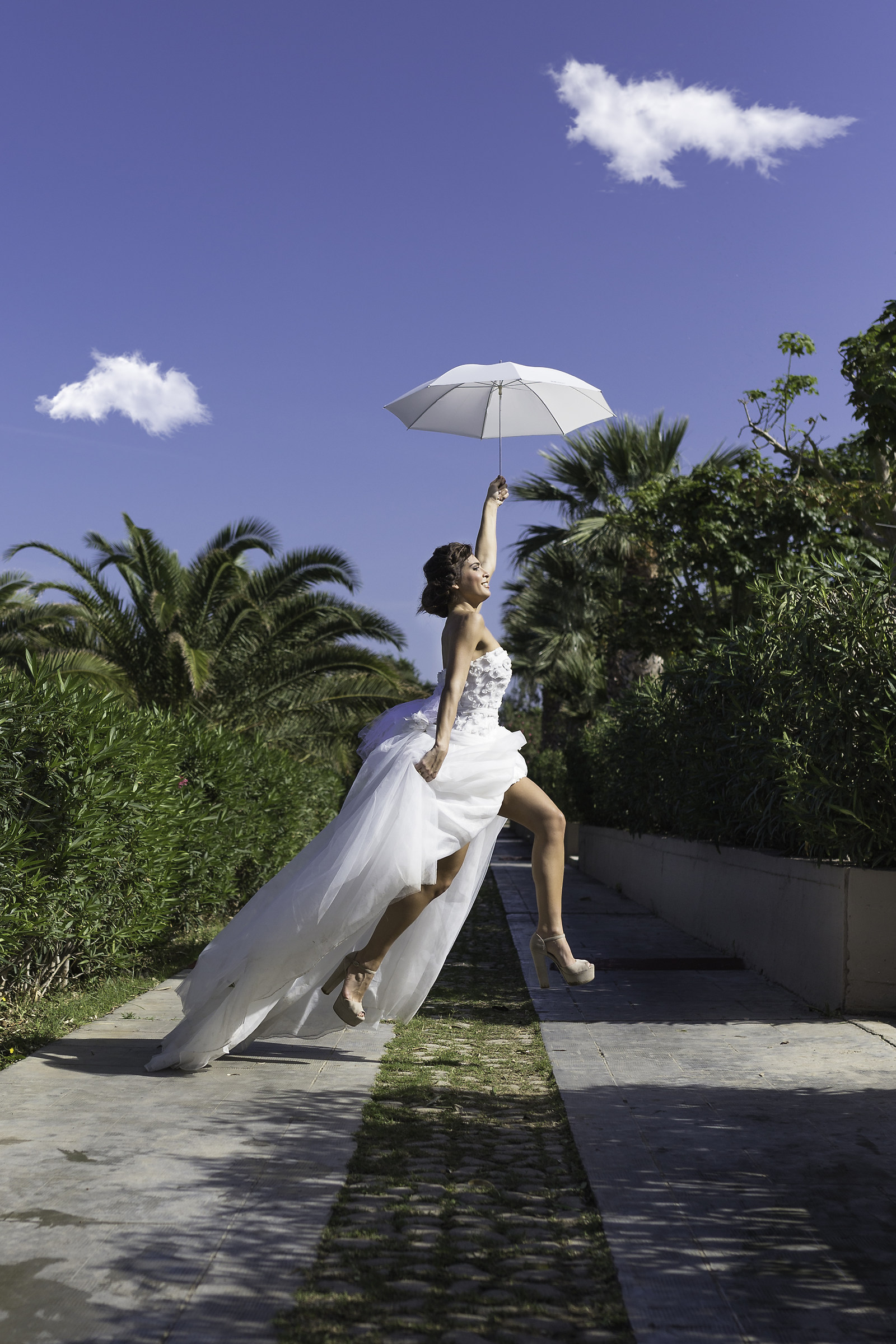 In Honour of Elliot Erwin