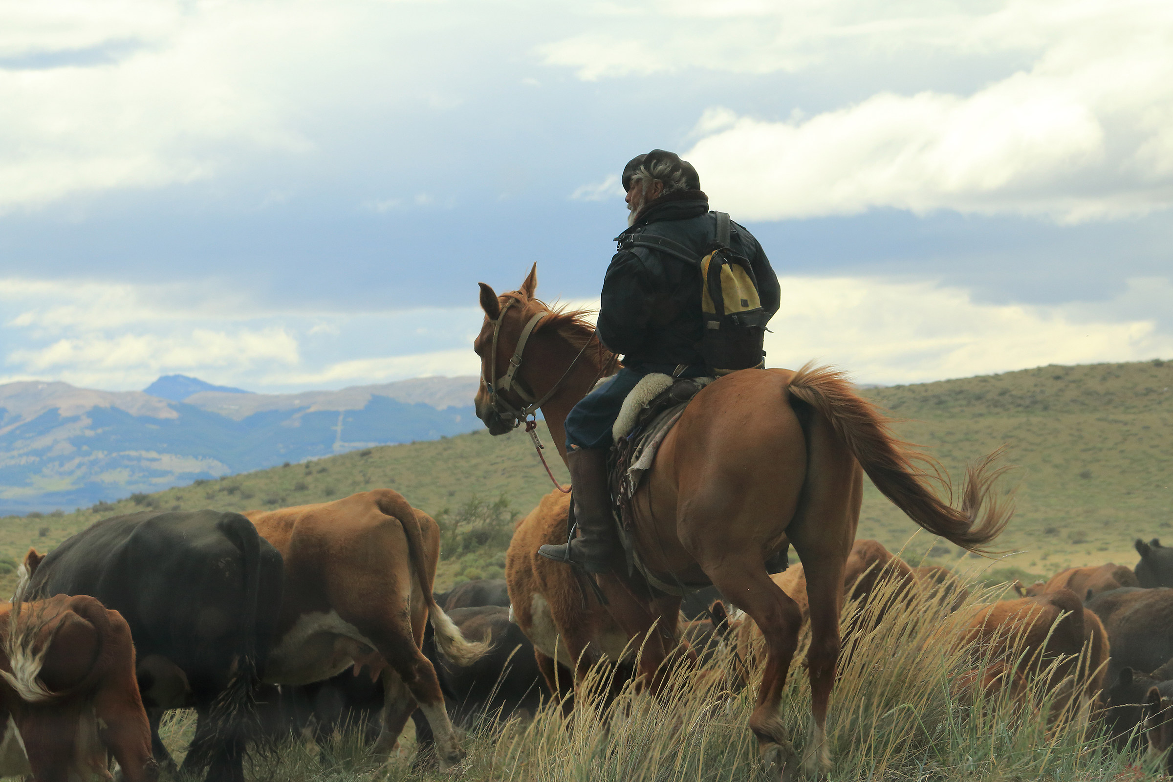 The Chilean "Gaucho"