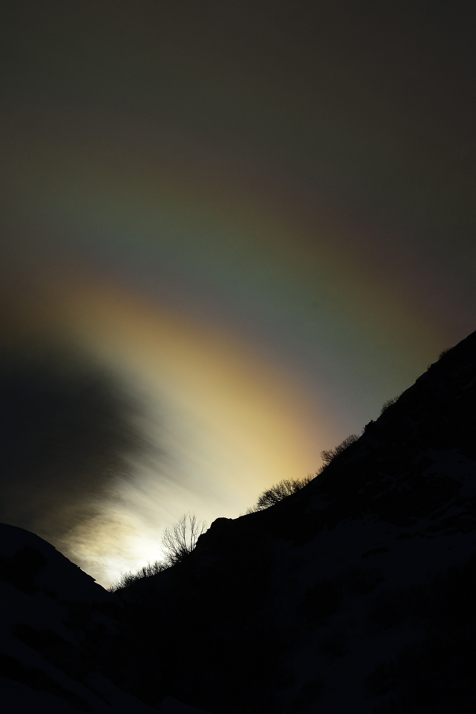 Giochi in (contro) luce