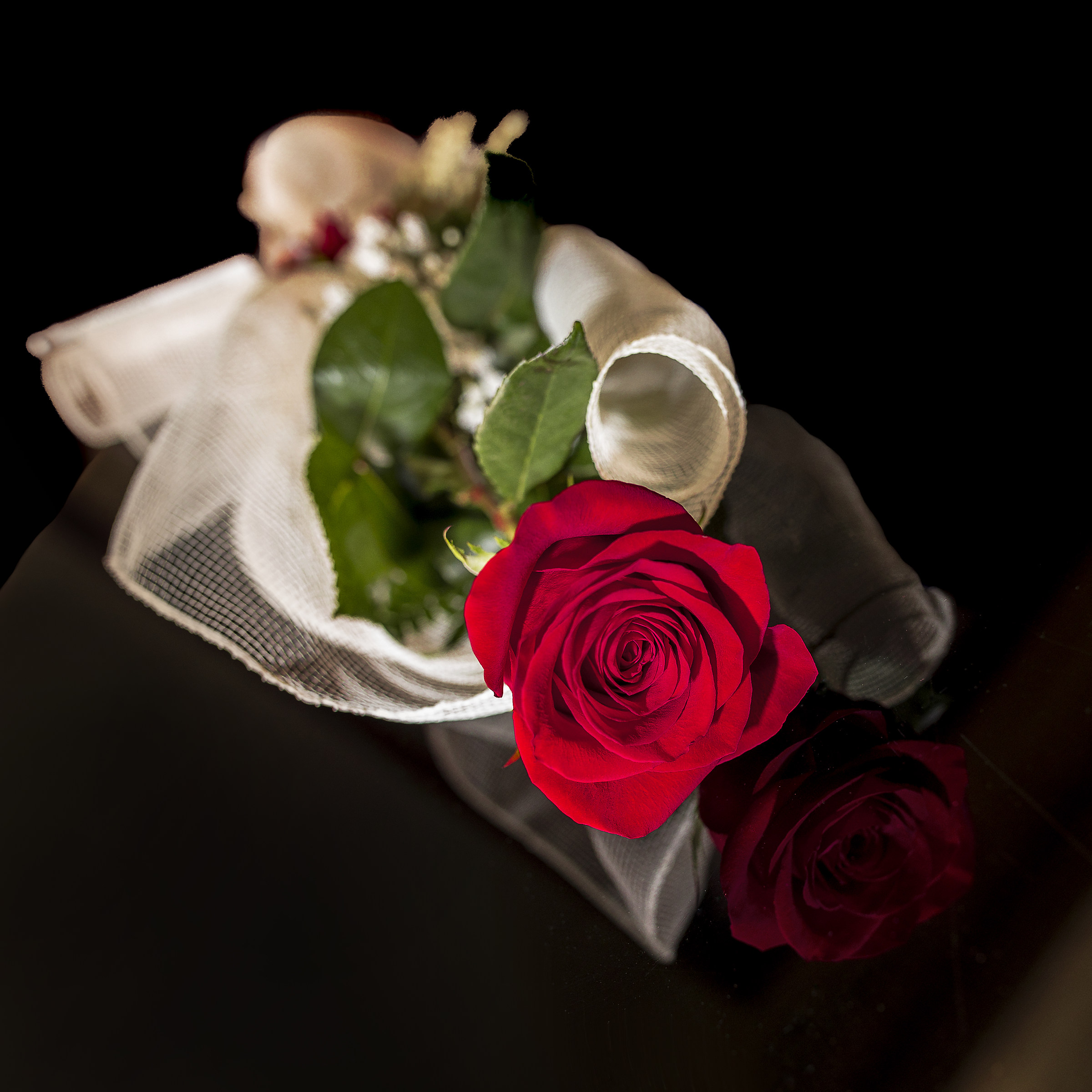 Reflections of Beauty