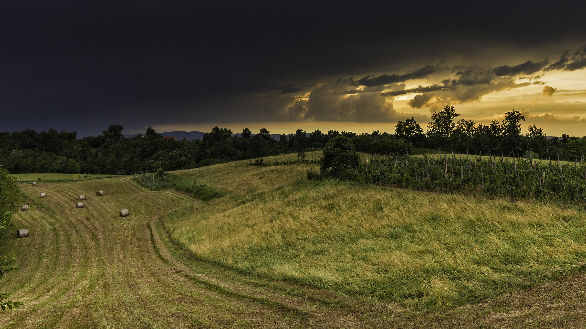 Tramonto a Cellarengo