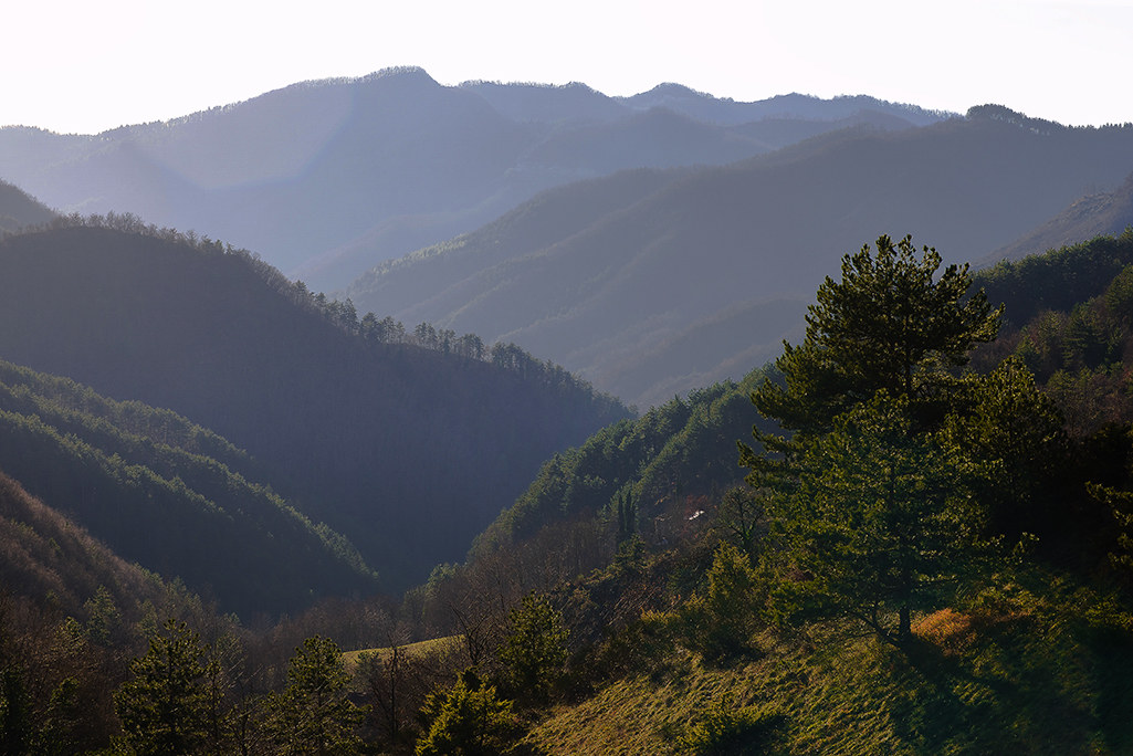 PN Casentino Forests 2018