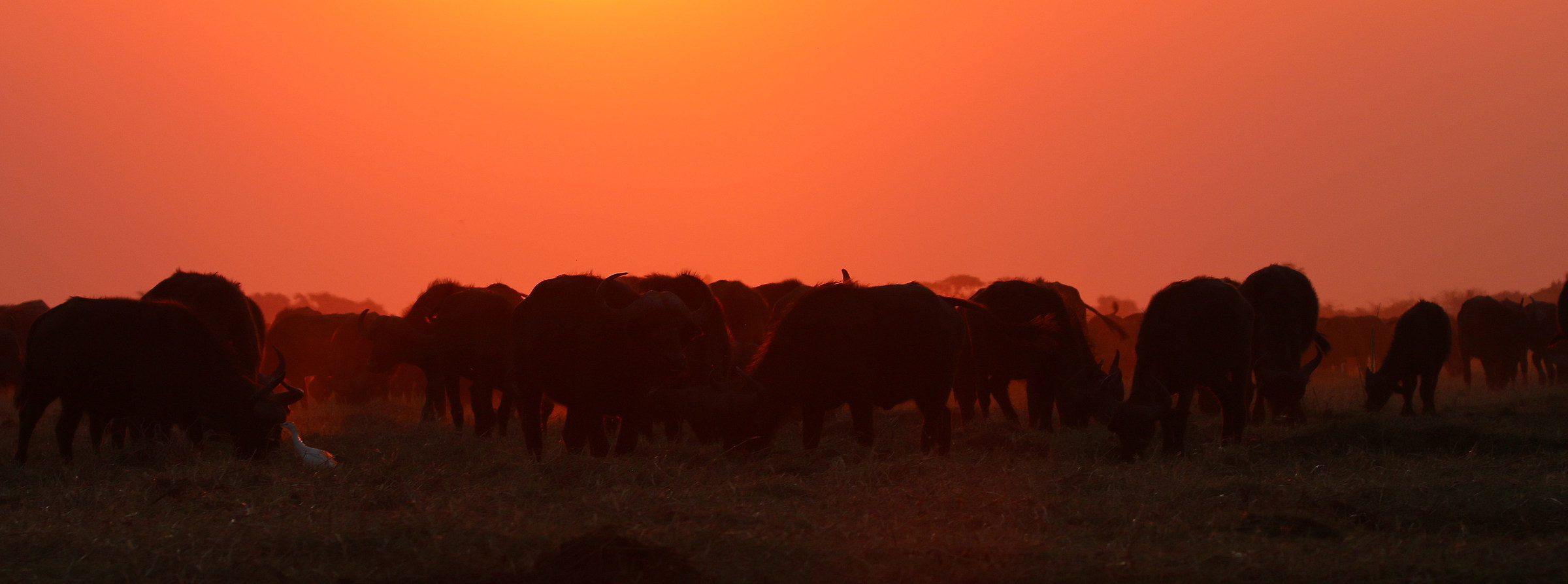African Sunset