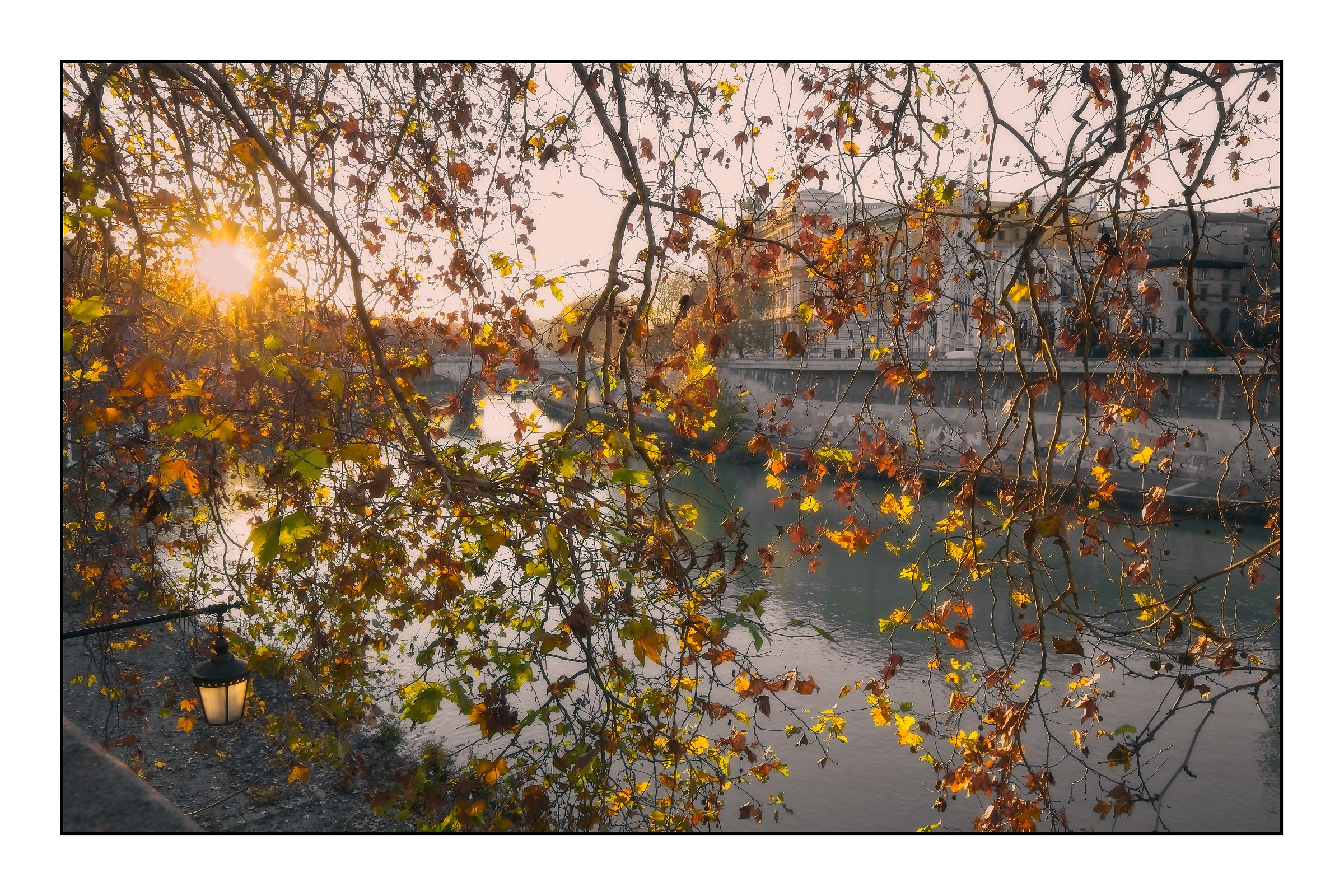 Il fiume, le foglie, il lampione