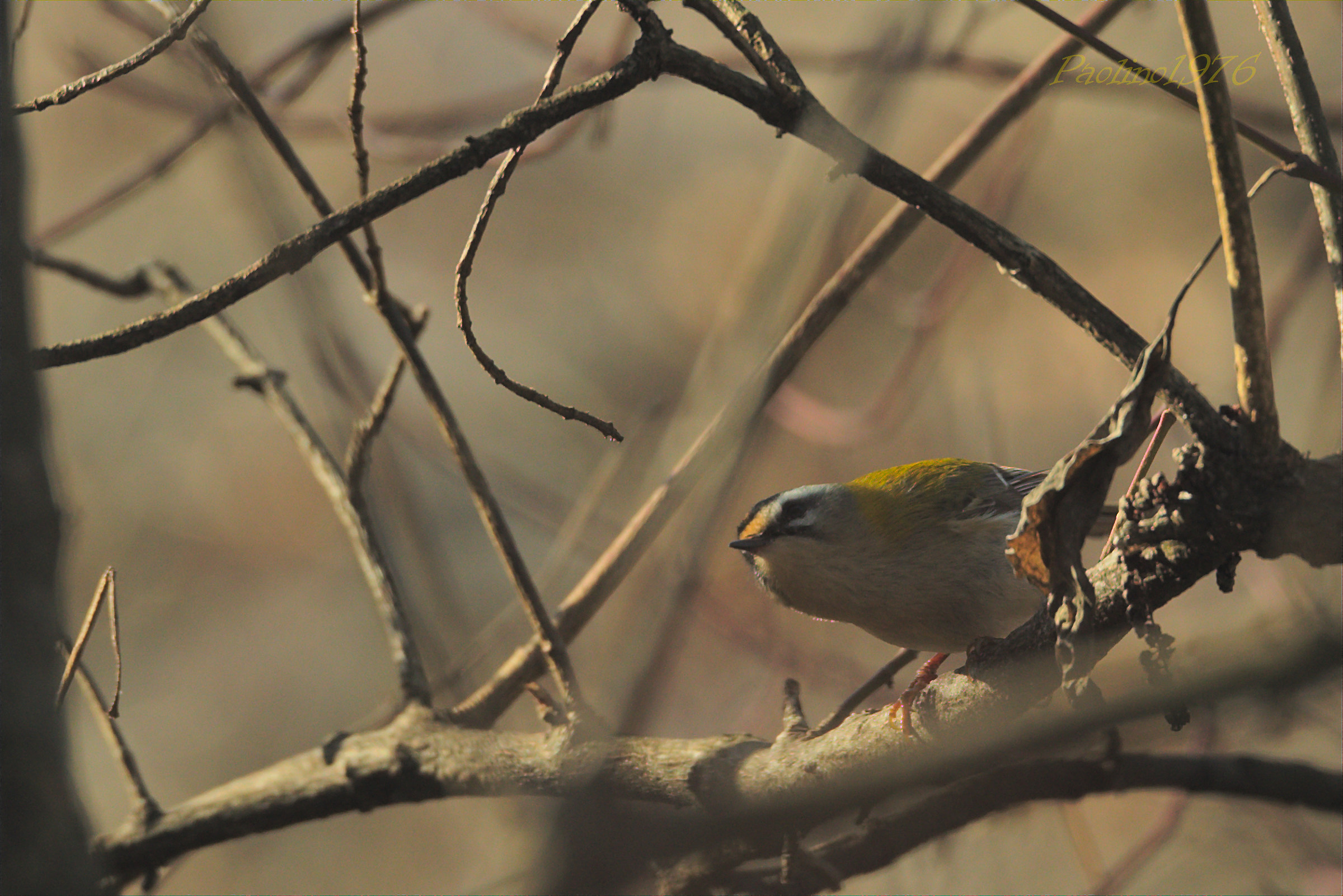 A glimpse into the new year