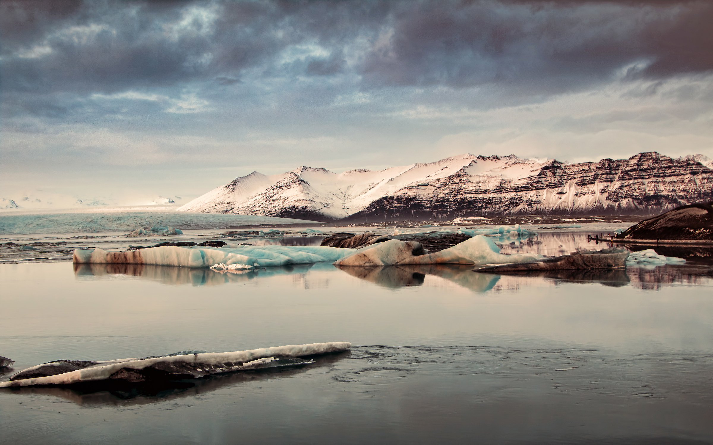 Occhi pieni di natura
