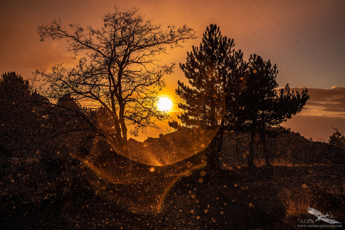 Front lens bathed in snow but in my way D