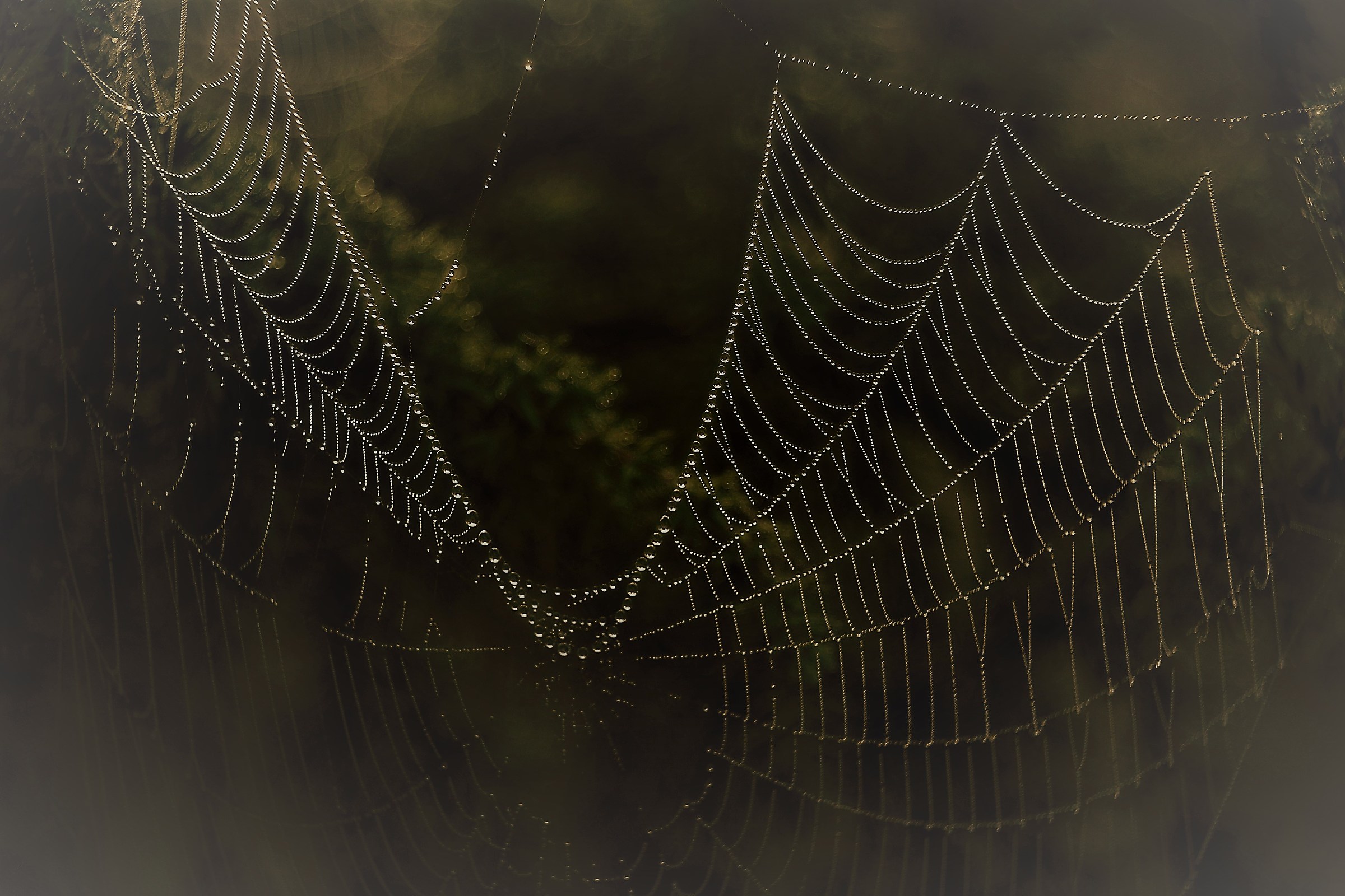 Happy New Year to all!!!!