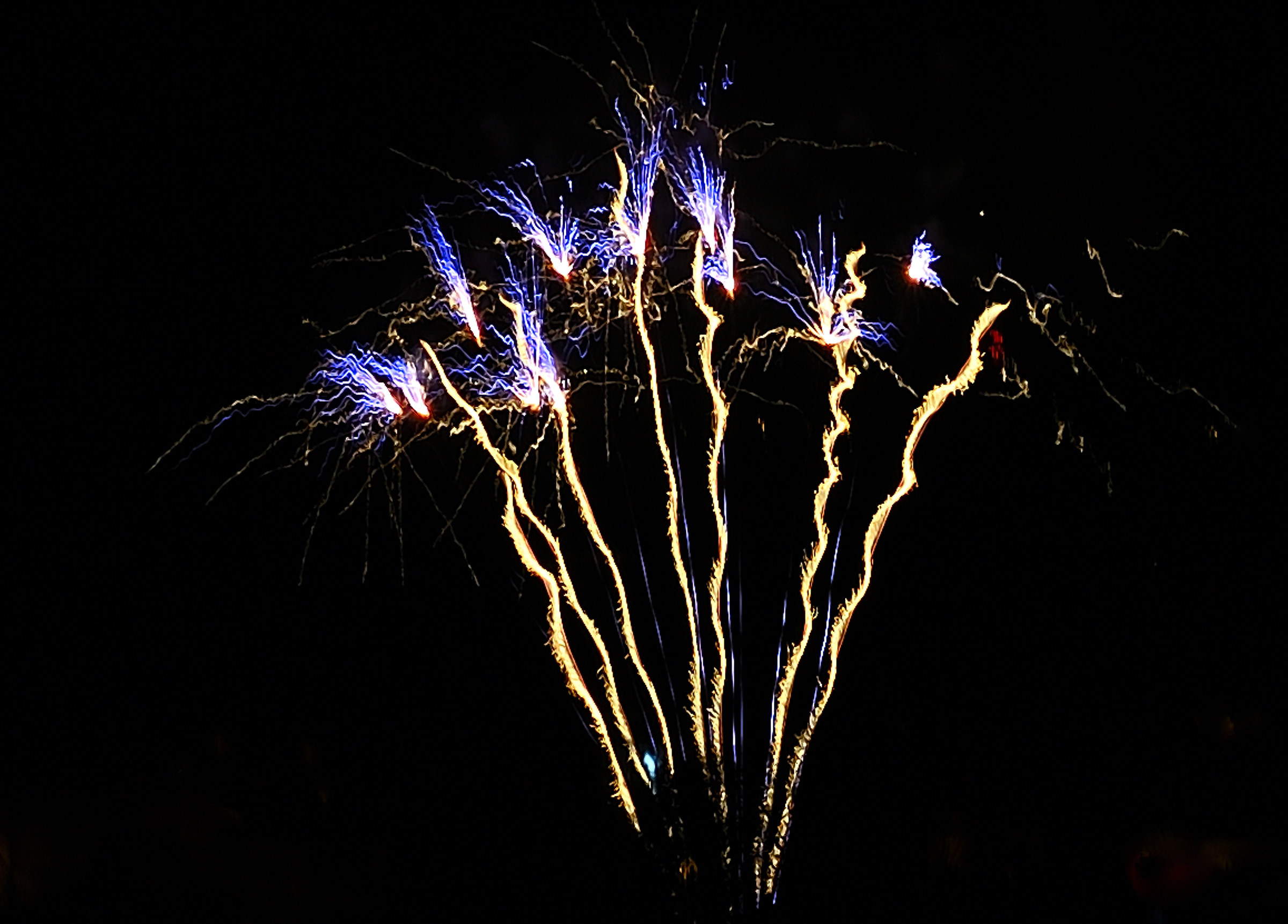 Flower of New year_2