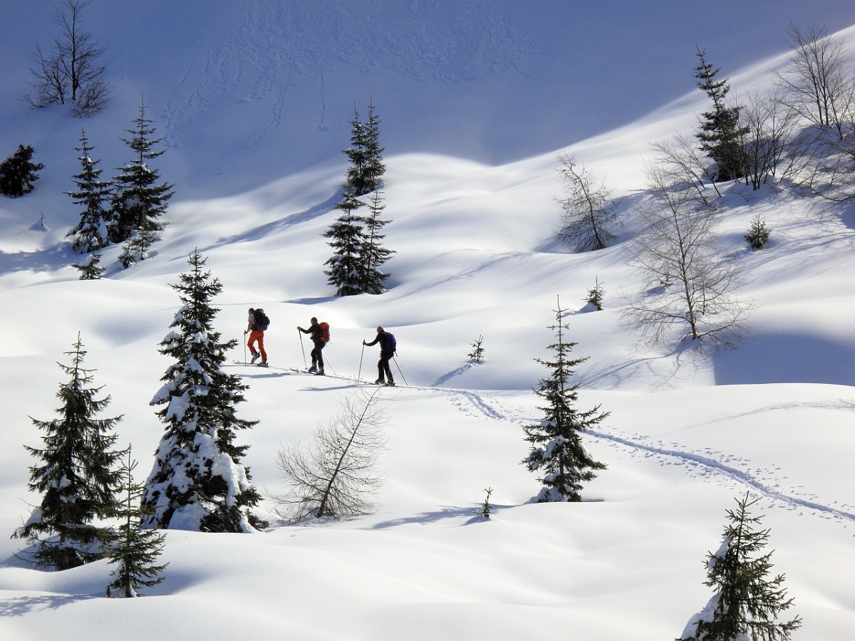 Ski touring