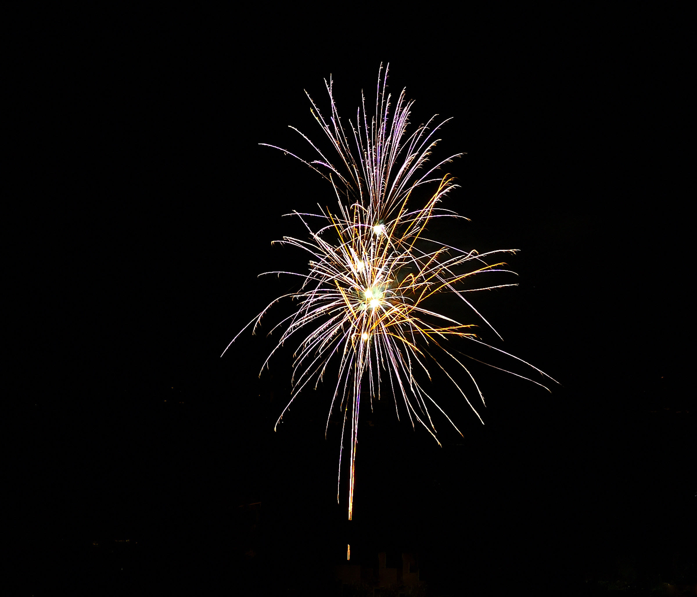 Flower of the new year_3