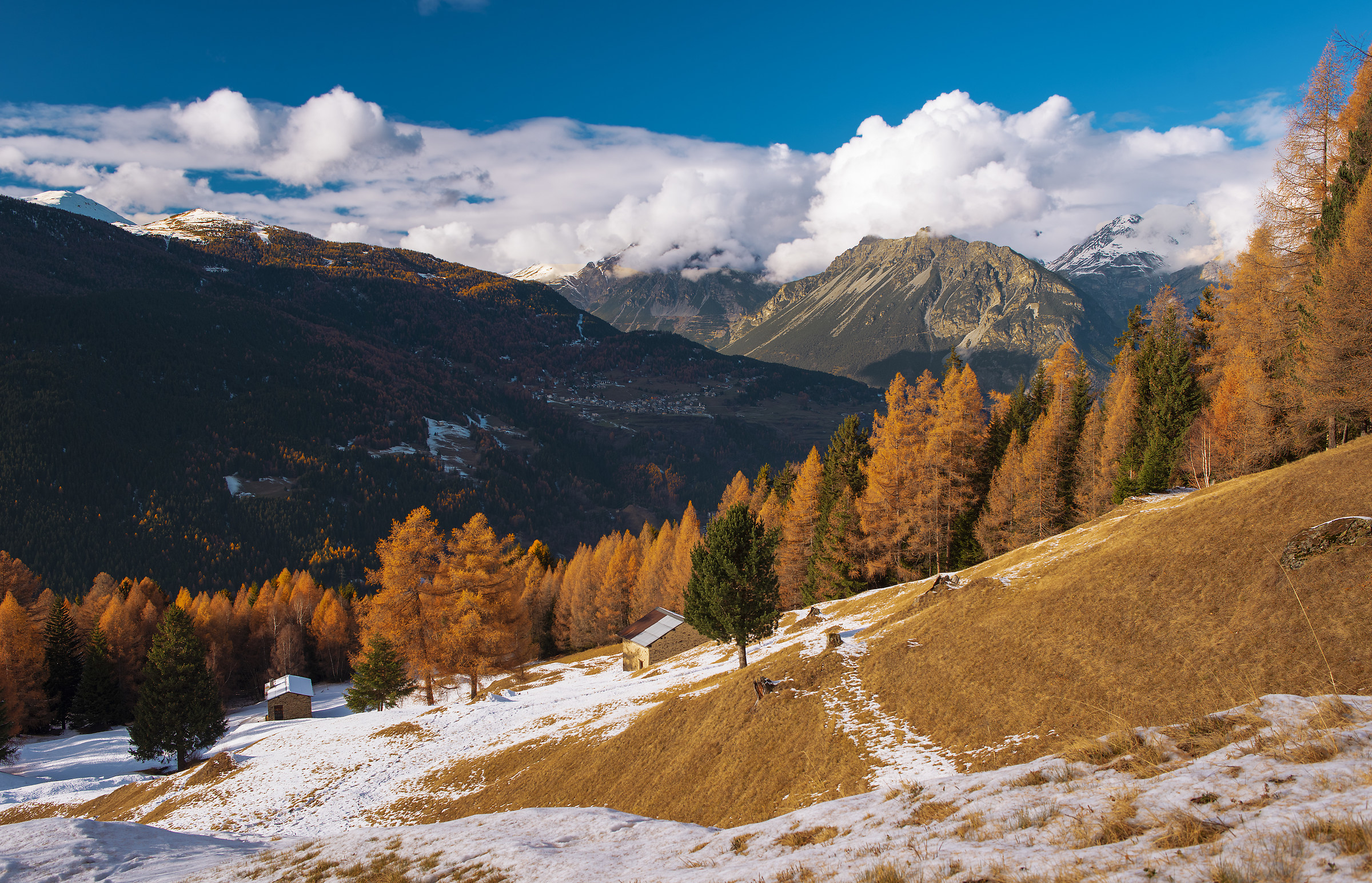Autumnal colors above Bormio