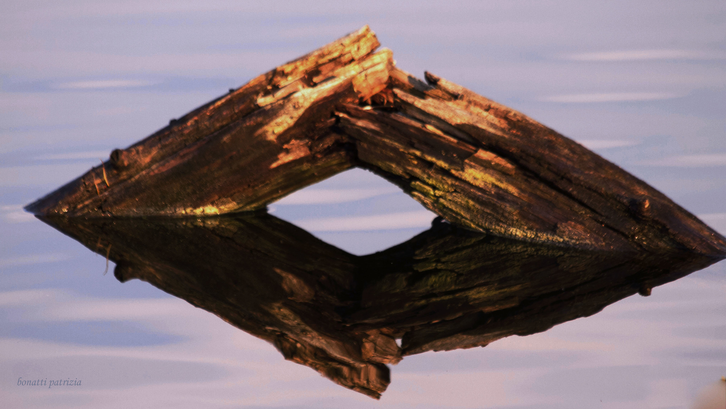 La natura si rispecchia in se stessa