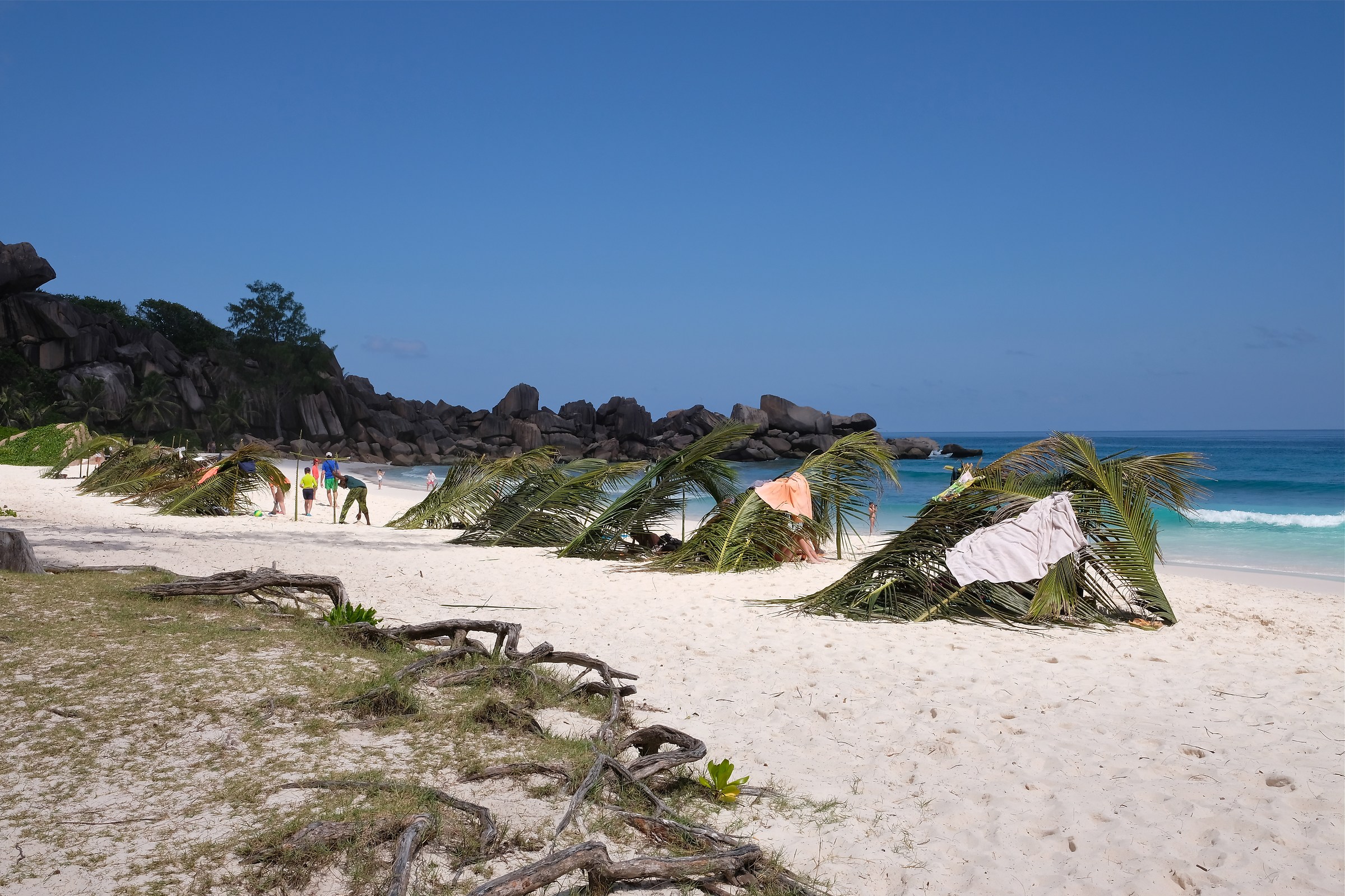 Admissions to Grand Anse