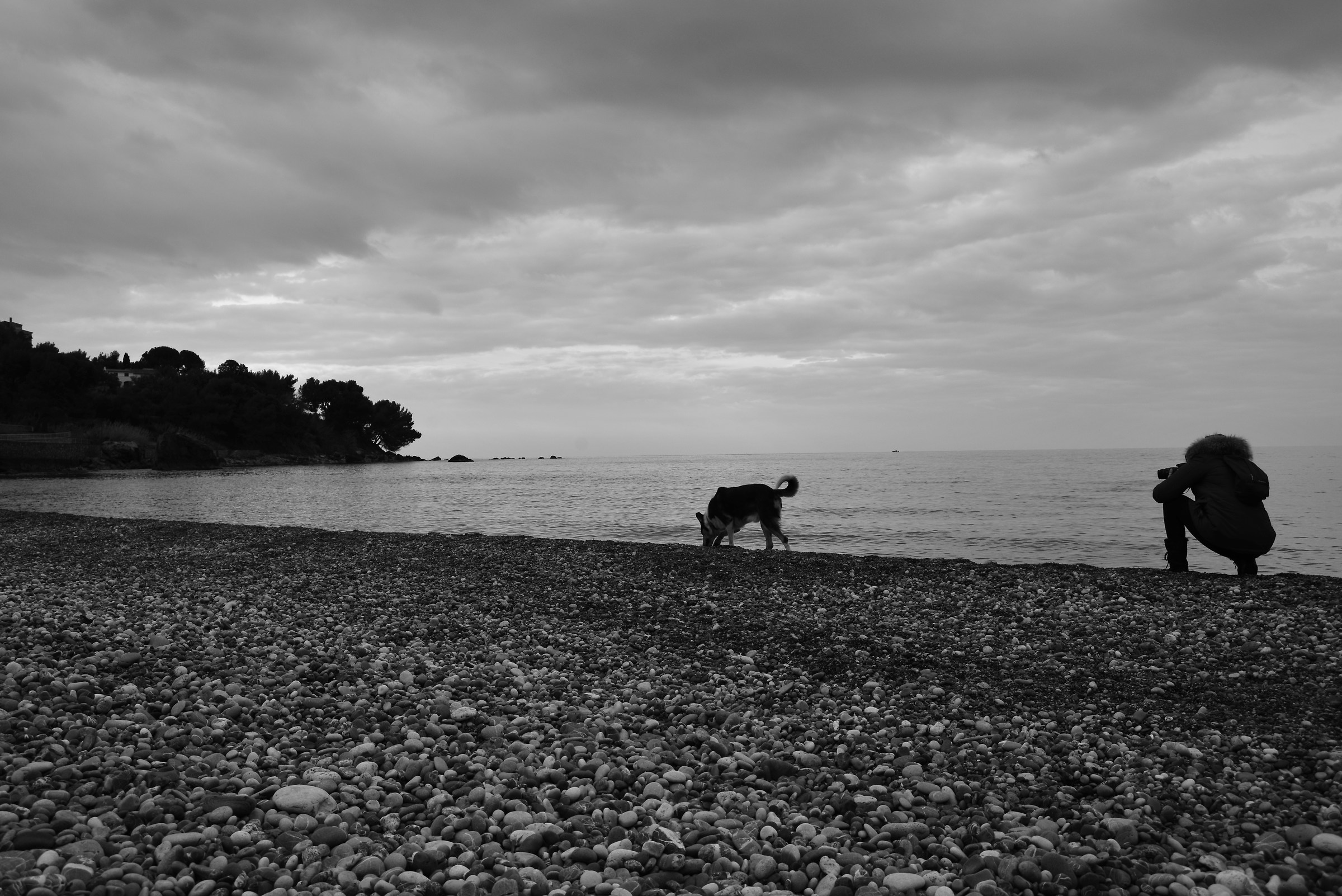 Photographing the best friend