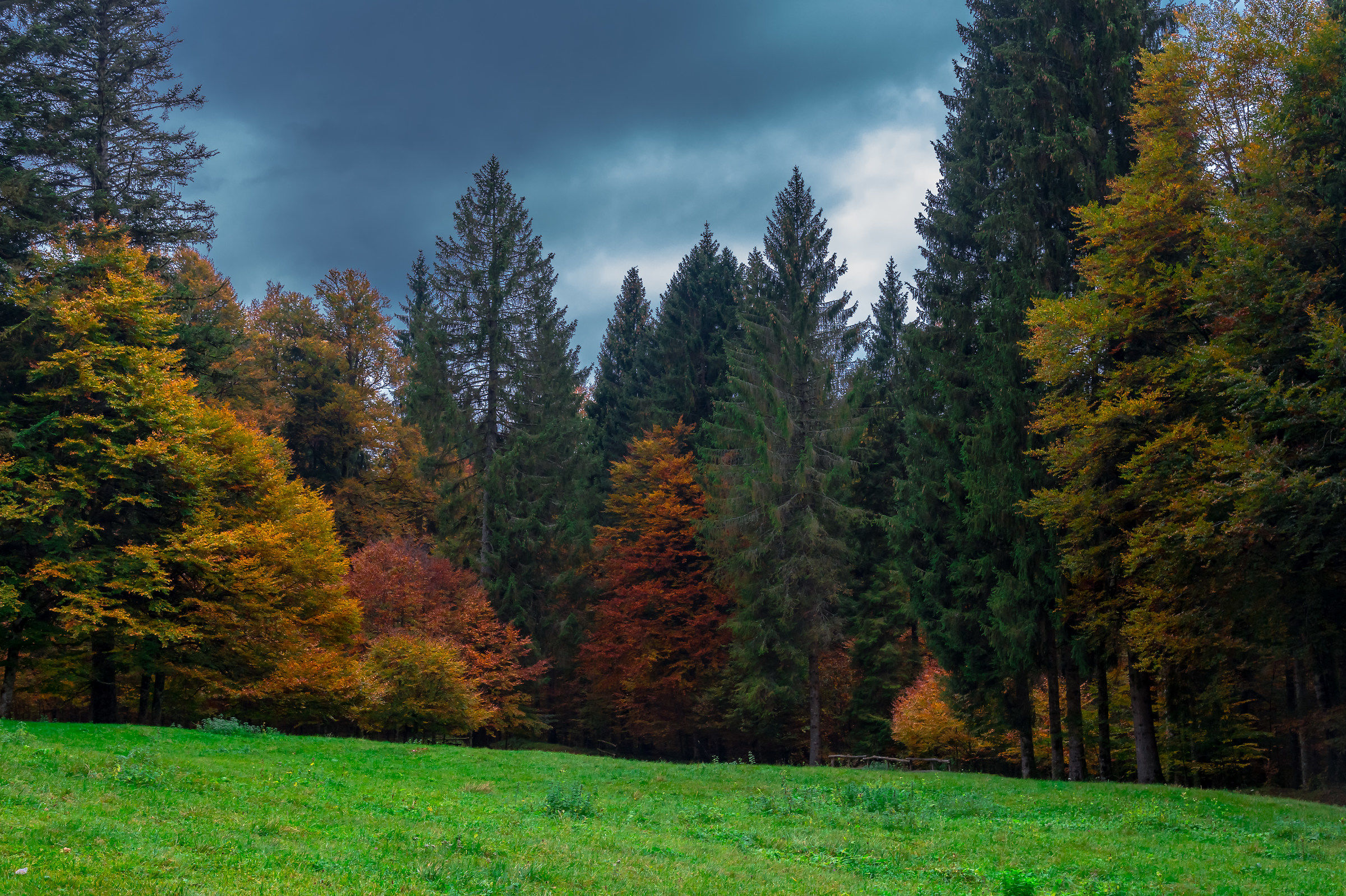 All the colors of autumn...