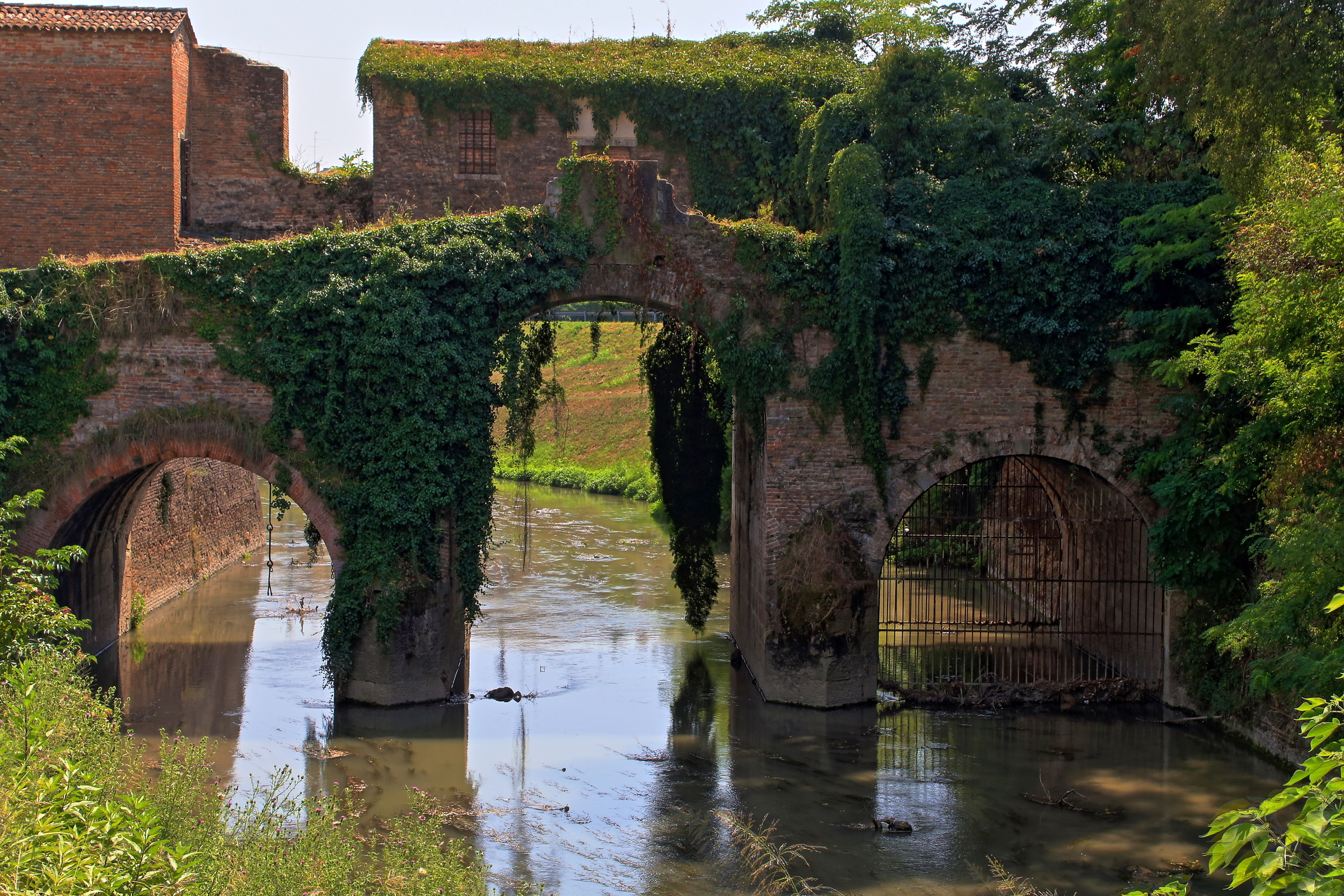 Padua city of Waters....