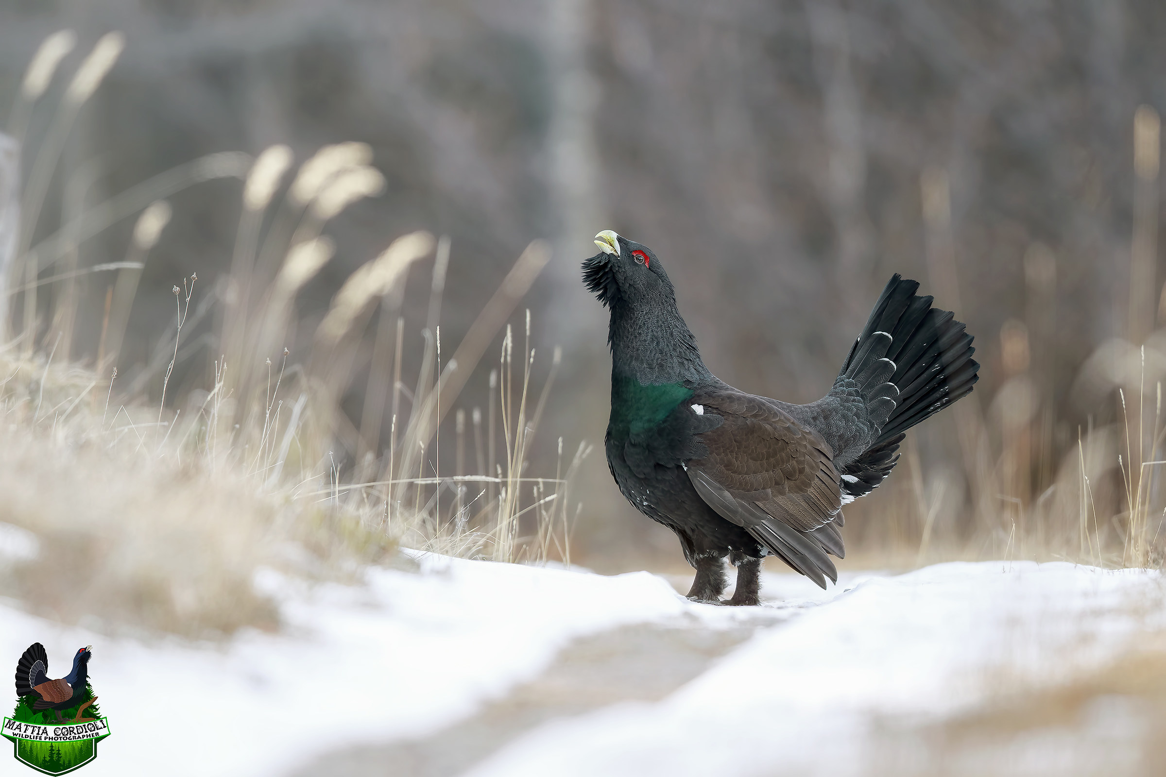 Between Heaven and earth