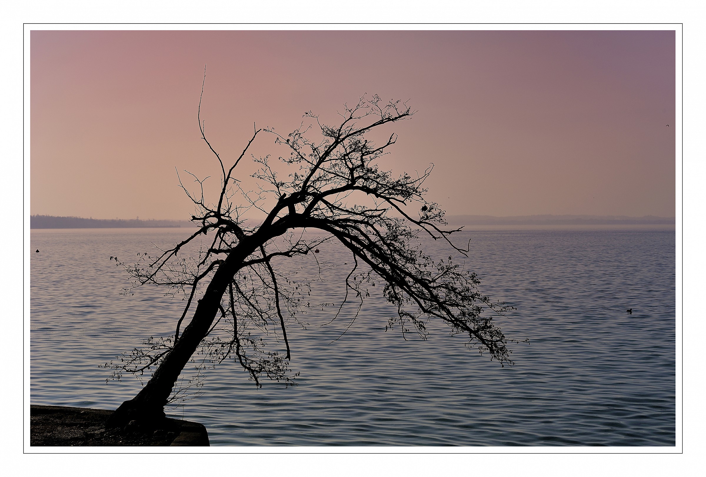 il solitario del lago